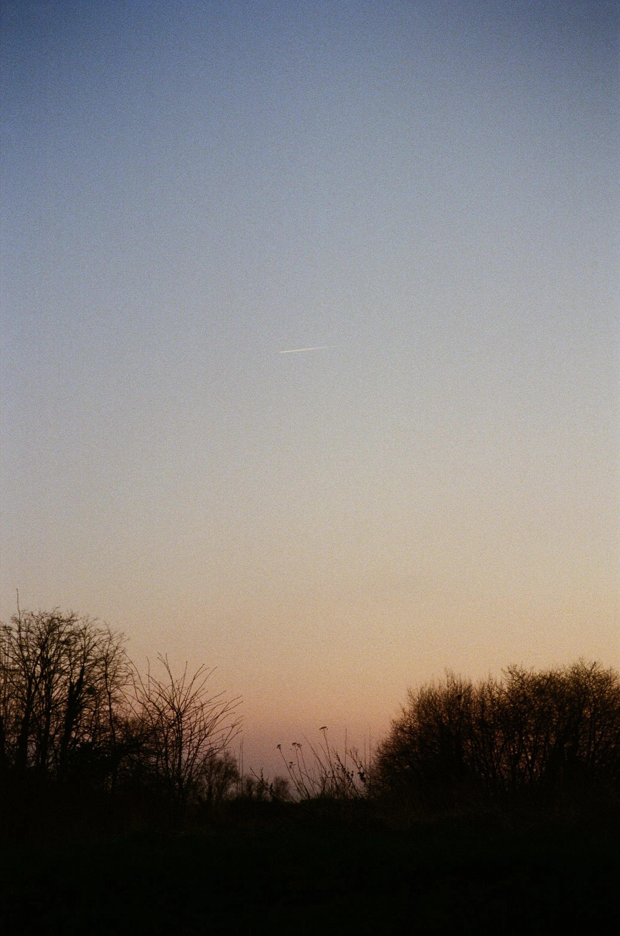 000034200007.jpg