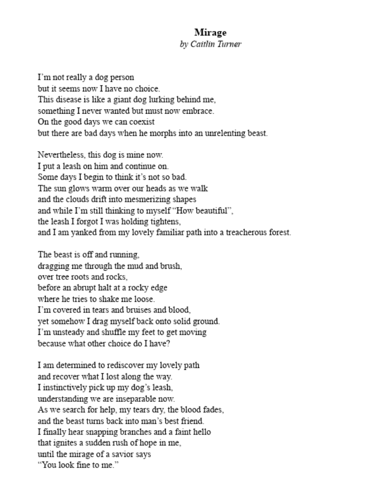 Mirage by Caitlin Turner