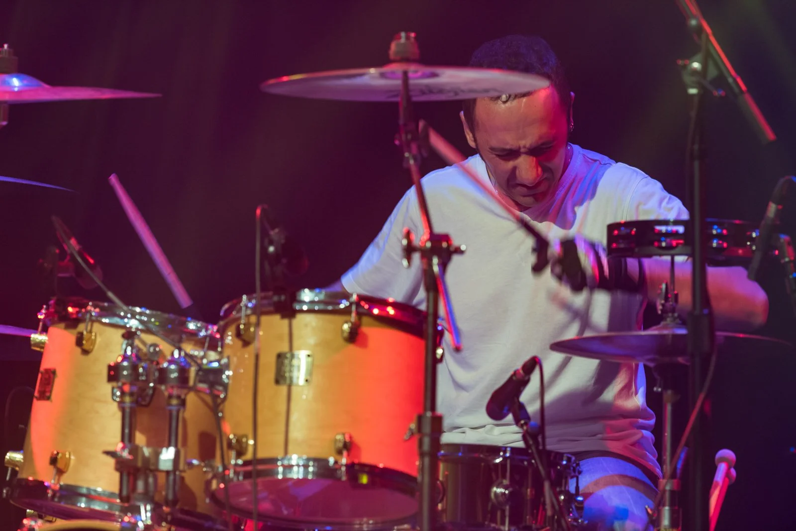 20150918_ChameleonsLAW_2432.jpg