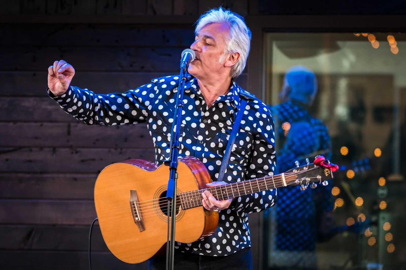 Robyn-Hitchcock-2.jpg
