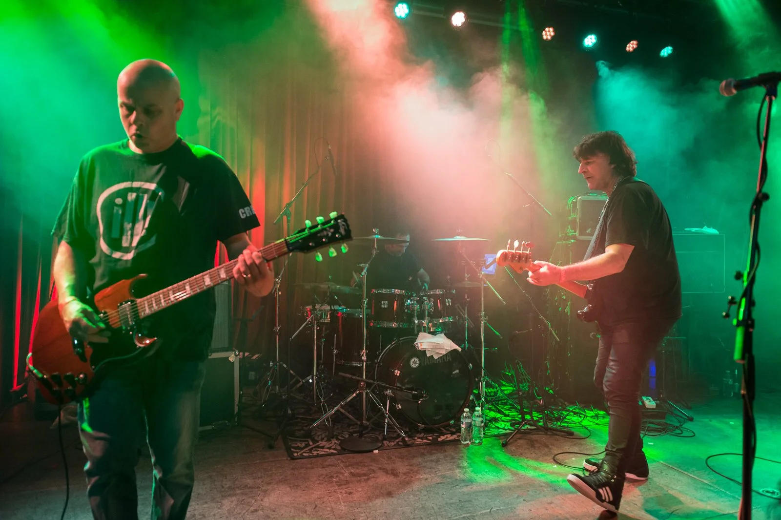 20150918_Chameleons_ASL2537.jpg
