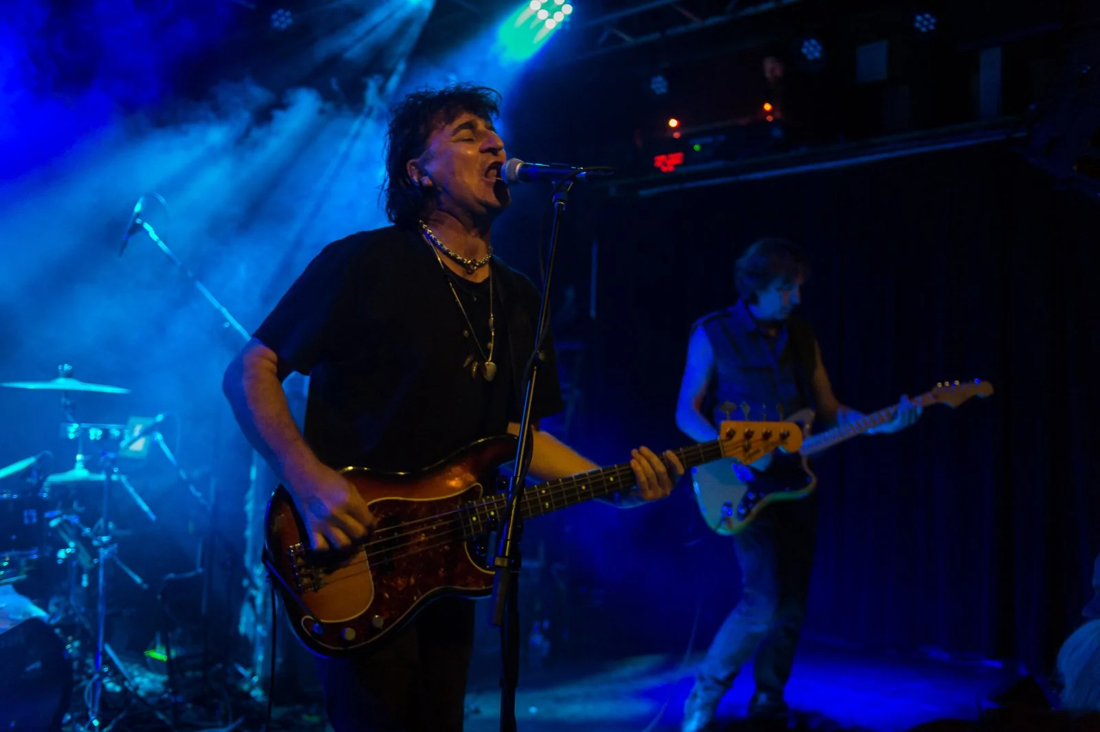 20150918_Chameleons_ASL2493.jpg