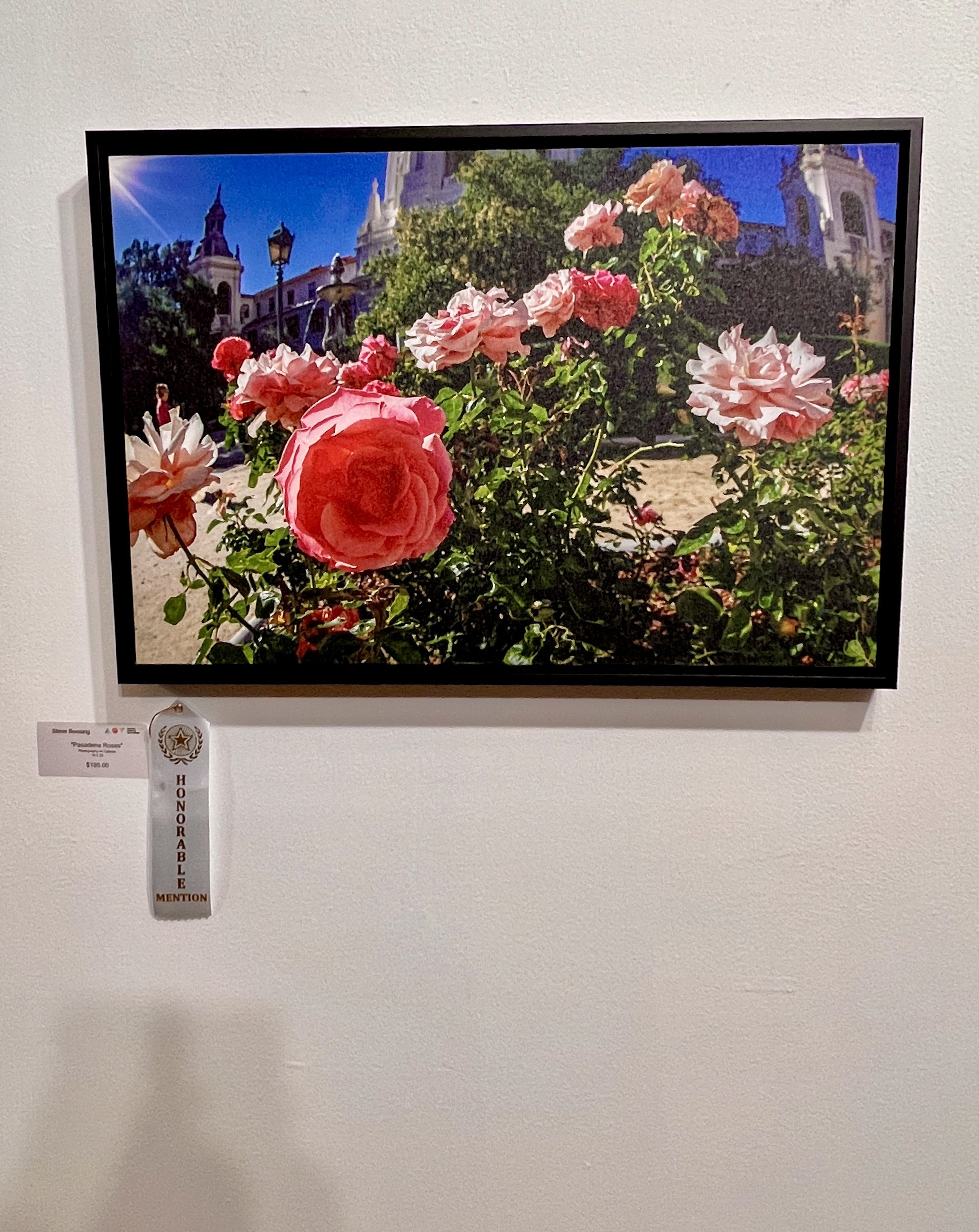 Steve Bensing - "Pasadena Roses"