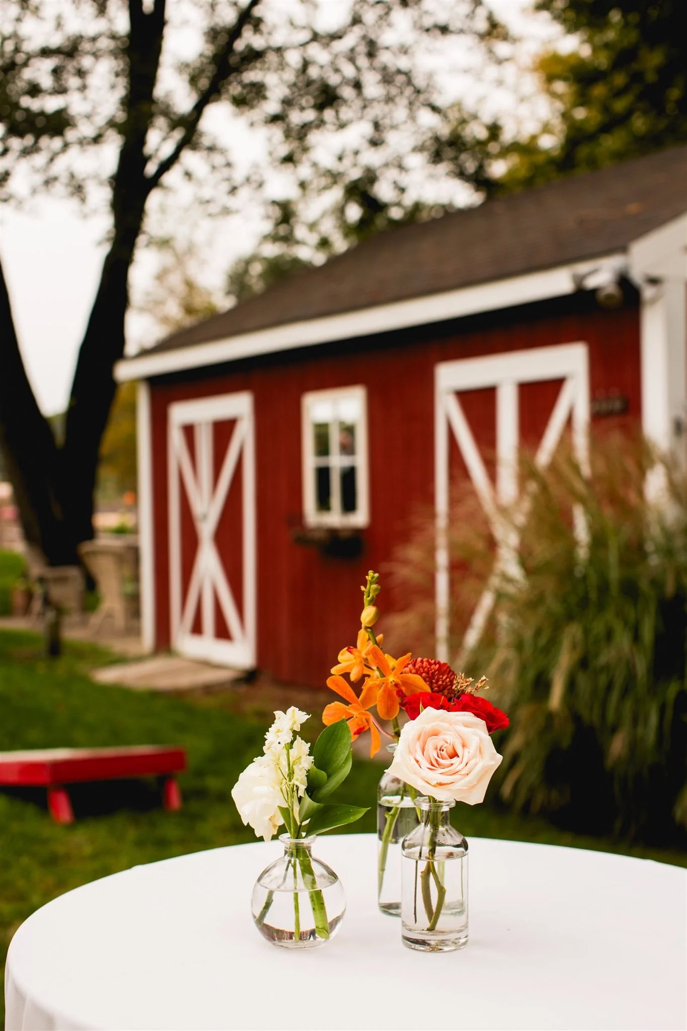 Maggie and Mitch-1236_websize.jpg