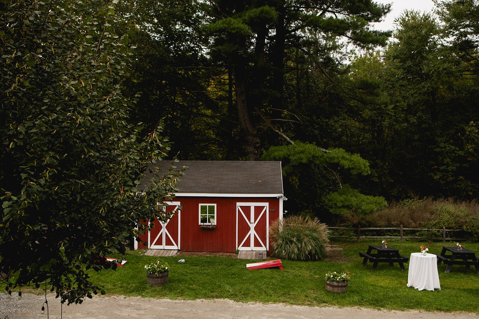 Maggie and Mitch-0953_websize.jpg