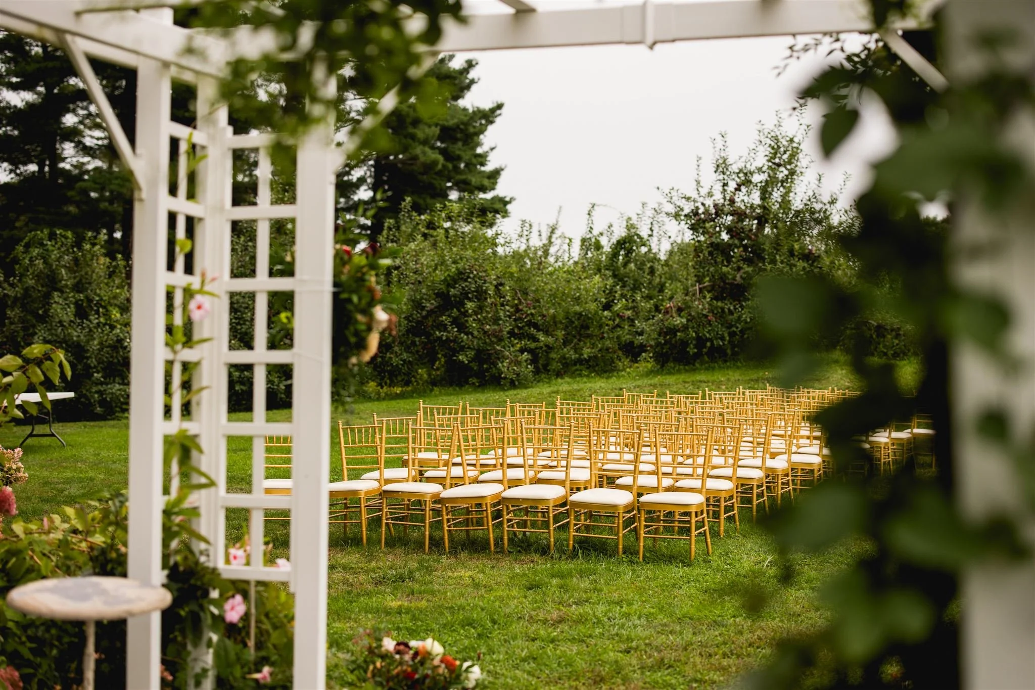 Maggie and Mitch-6061_websize.jpg