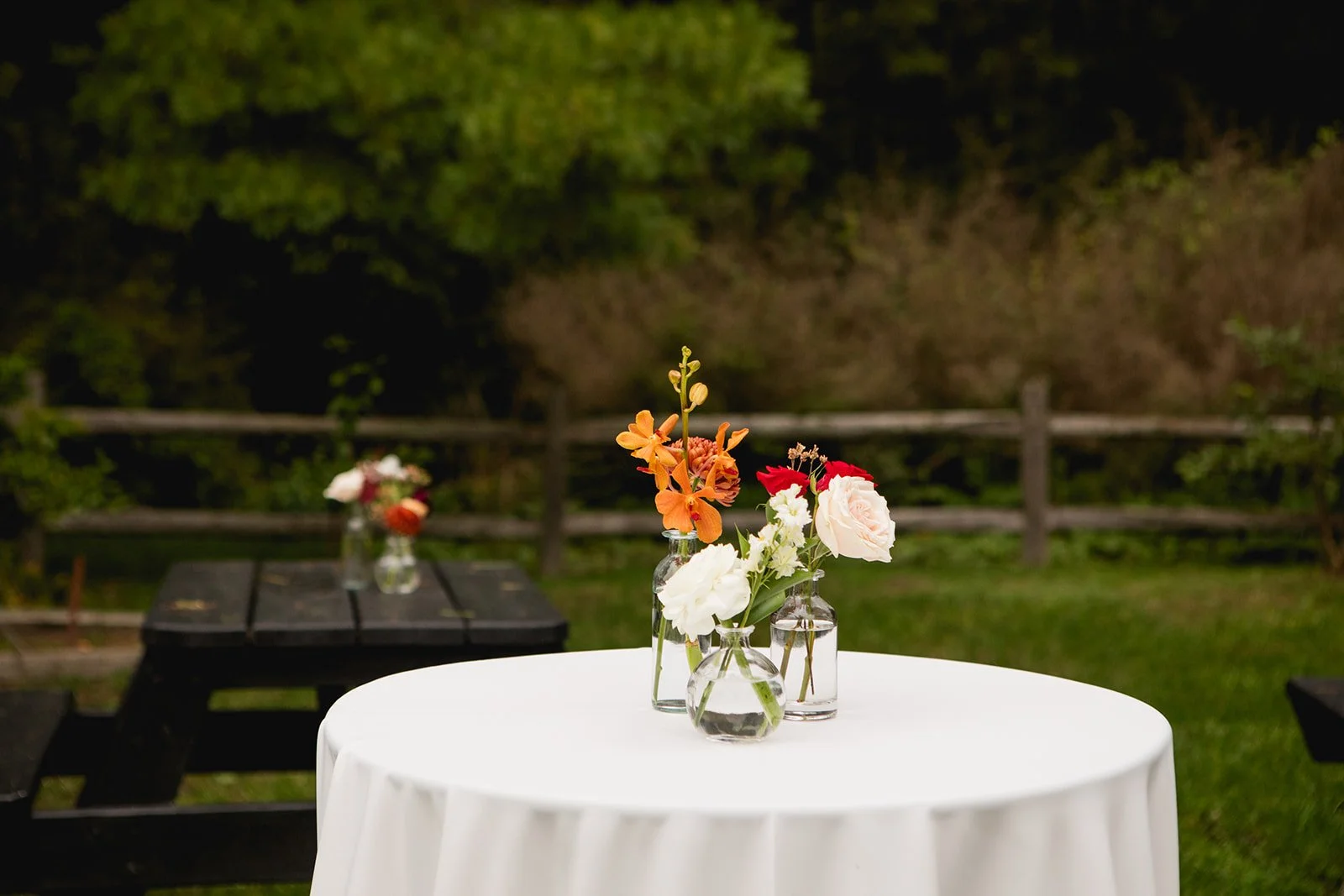 Maggie and Mitch-0954_websize.jpg