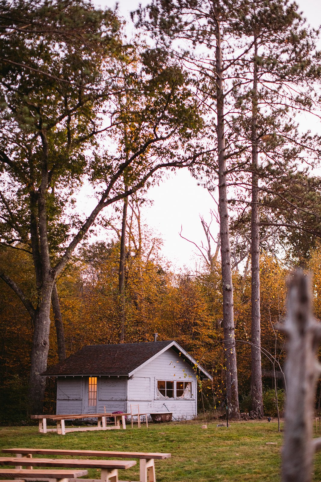 Romantic outdoor wedding in a private home backyard