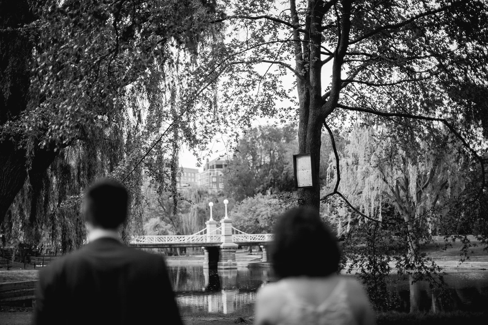 Best Boston engagement couples session locations from an experienced photographer