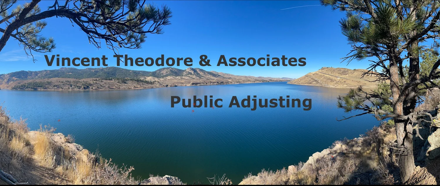 Vincent  Theodore &amp; Associates Public Adjusting