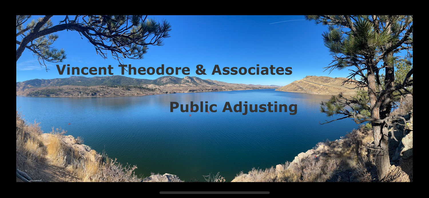 Vincent  Theodore &amp; Associates Public Adjusting