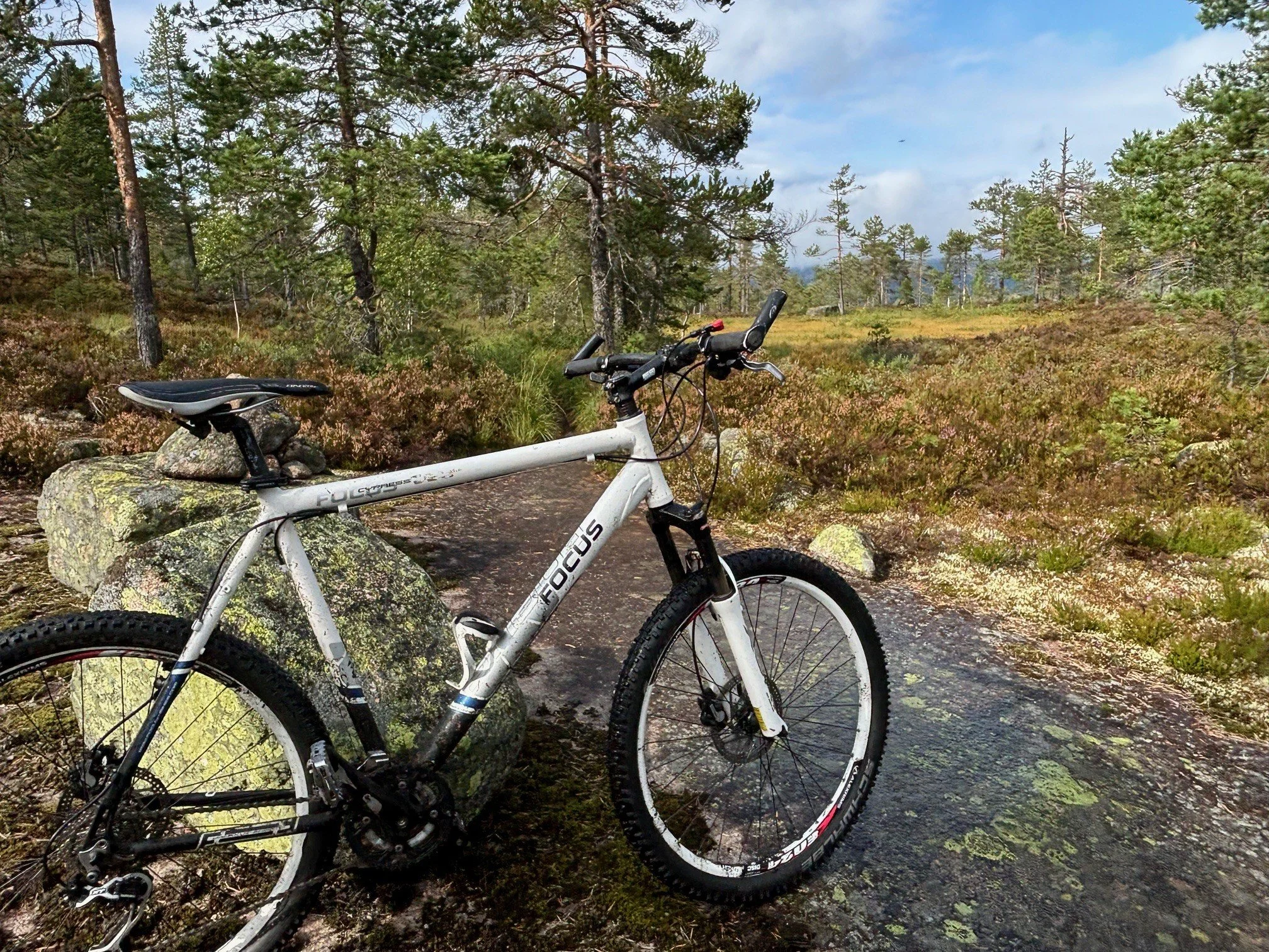 fiets].jpg