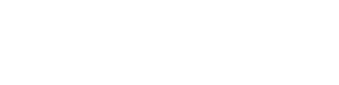 The Vegan Inclusion Co.