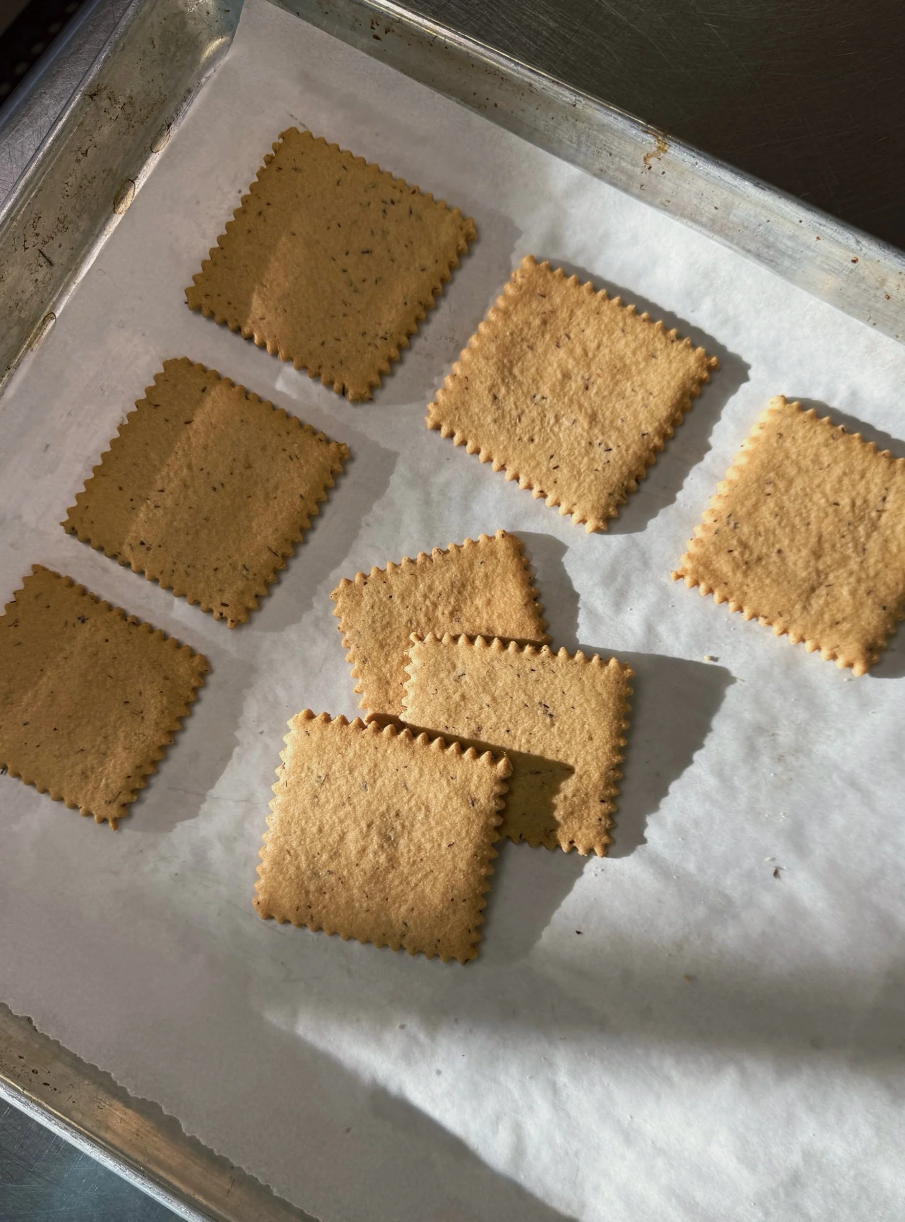 Rooibos Ginger Shortbreads - 6 Pack