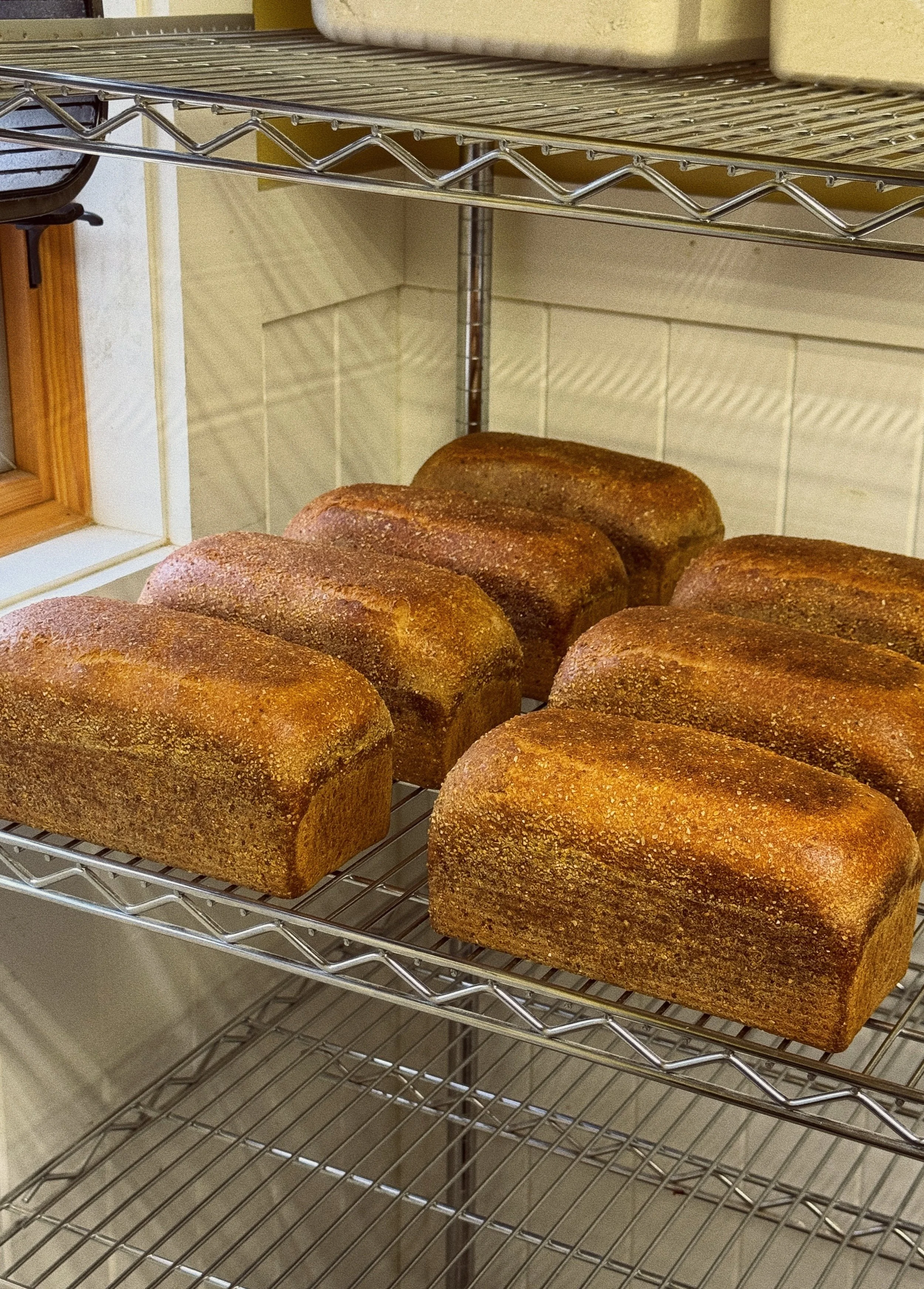 Sweet Corn Sourdough Brioche