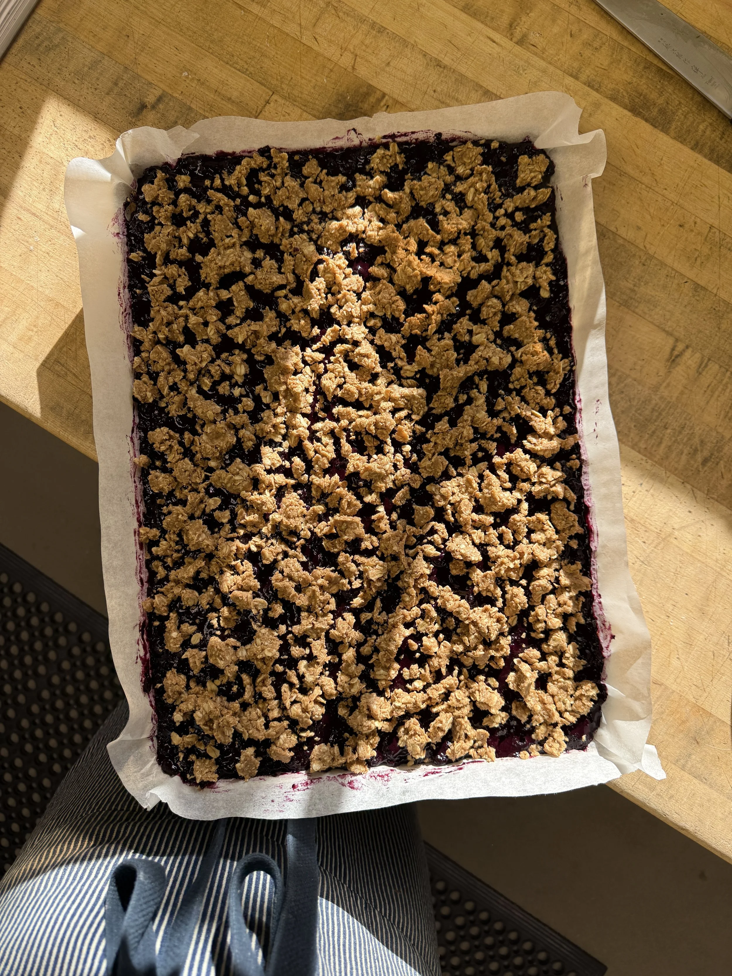 Blueberry Lemon Oat Crumble Bar
