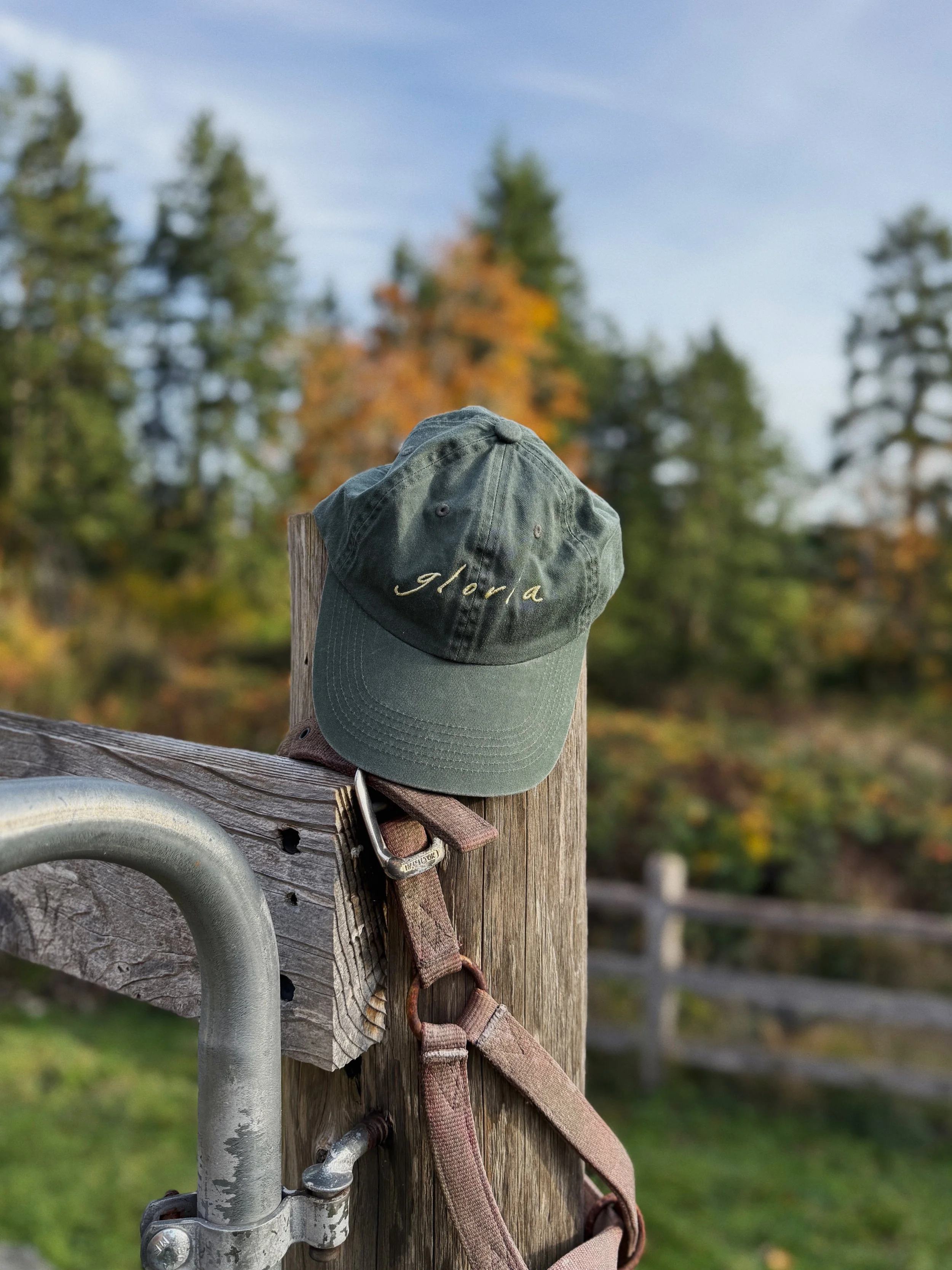 FullSizeRender_VSCO 14.JPG