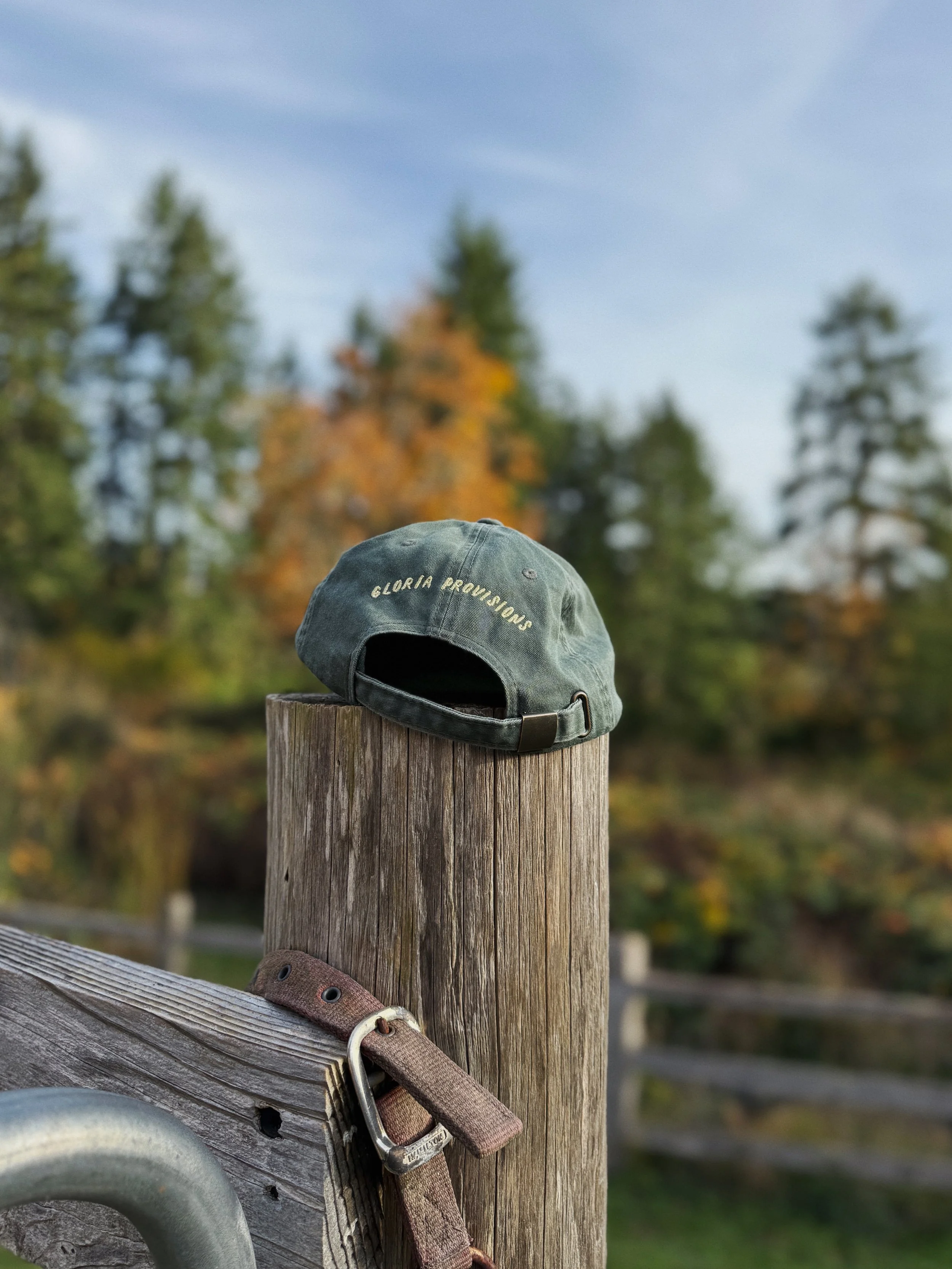 FullSizeRender_VSCO 13.JPG