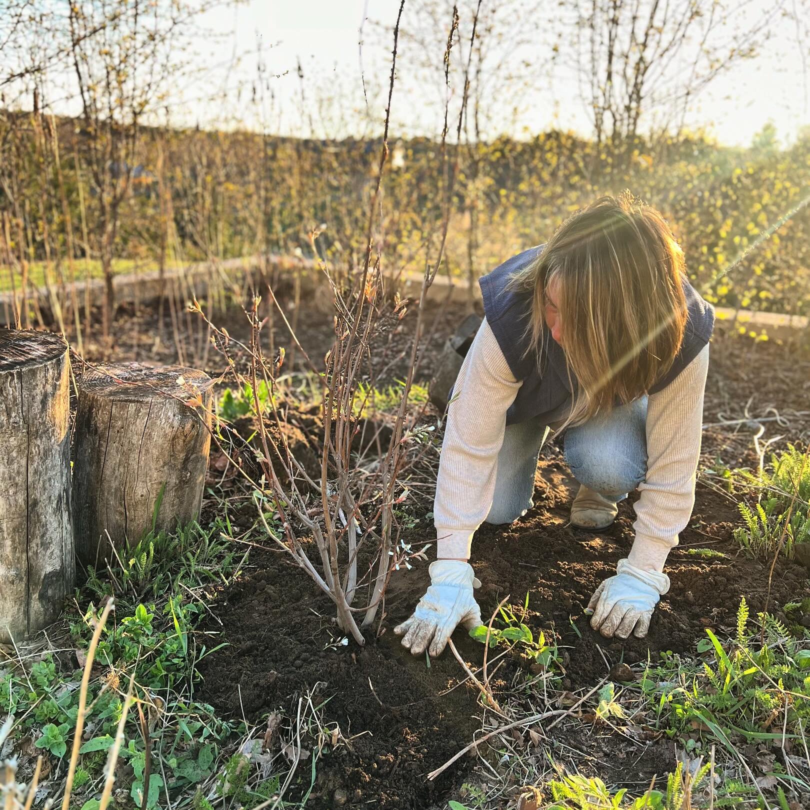 May is the time to get out, get your hands on the soil, and take proper stock of what is growing around you. Everything is emerging. There is clean up of old plant matter and care for the soil that needs to be looked into. 

If you aren&rsquo;t sure 