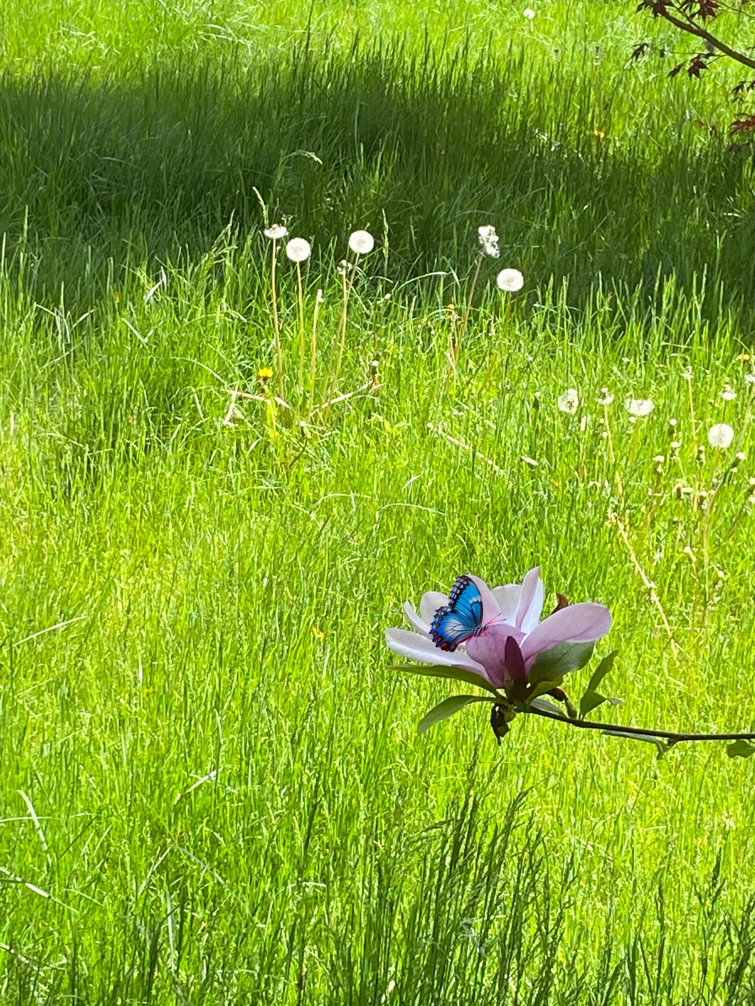 Thyroid Health Coaching Session