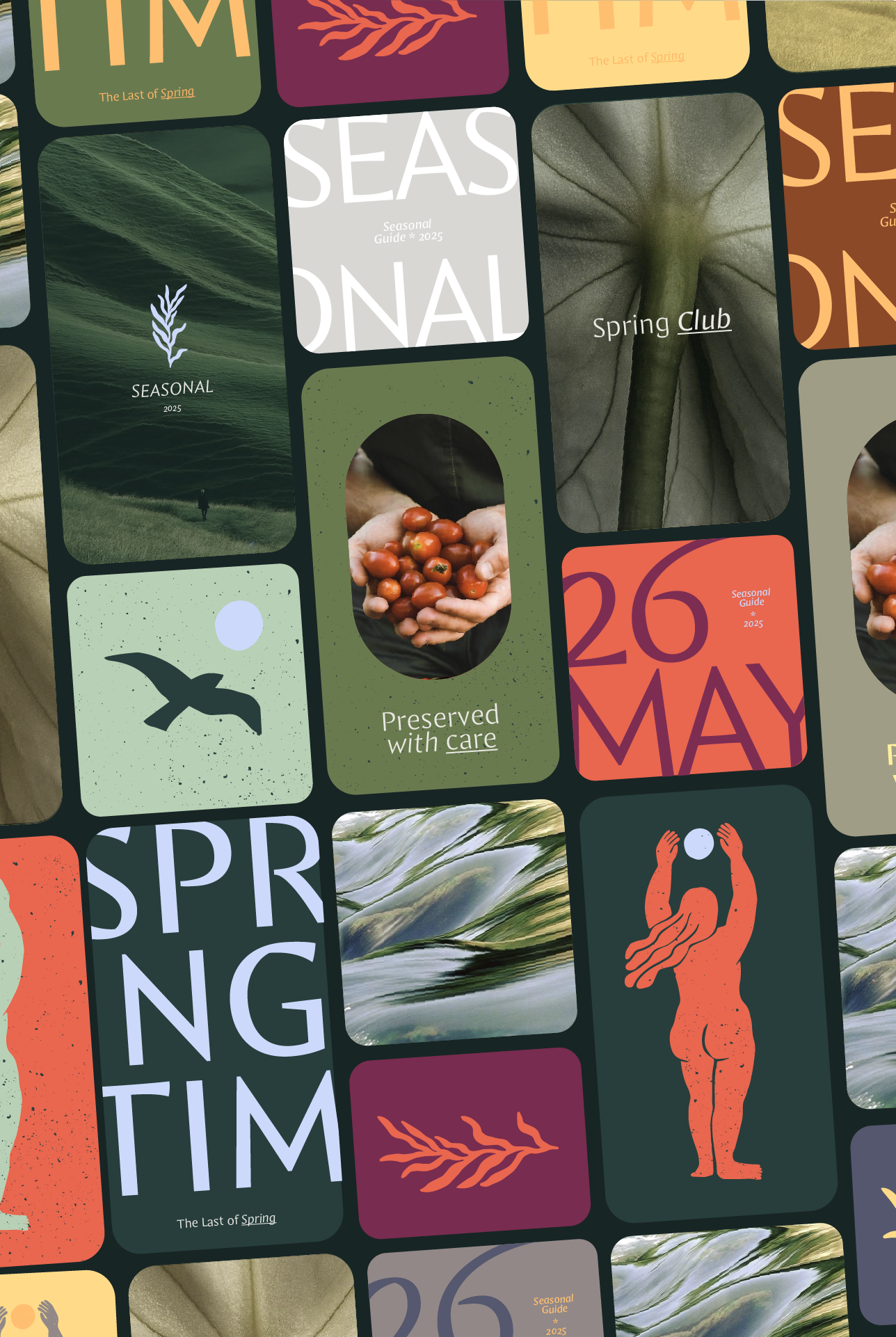 Spring Club - Branding & Packaging Design