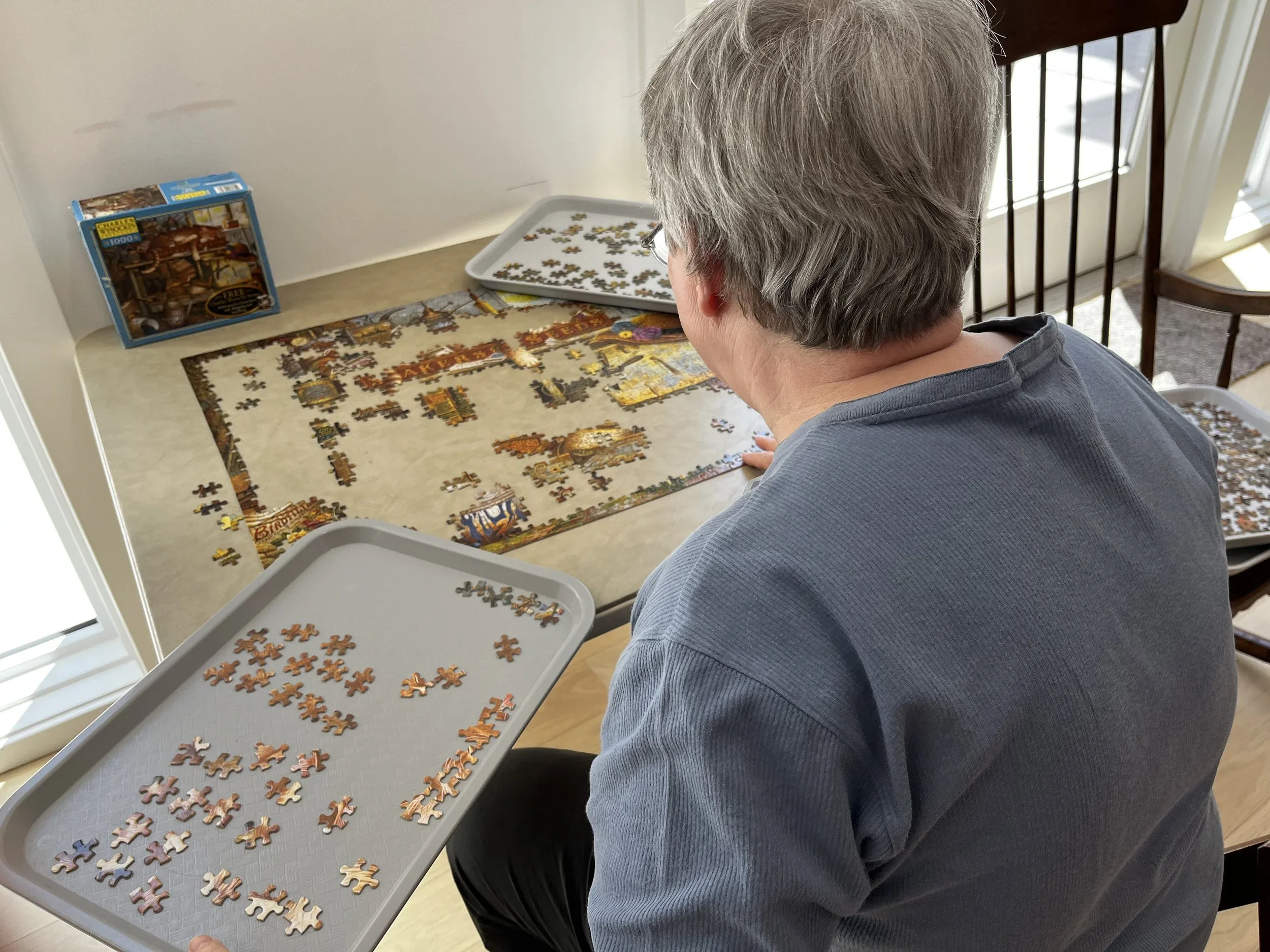 The puzzle table