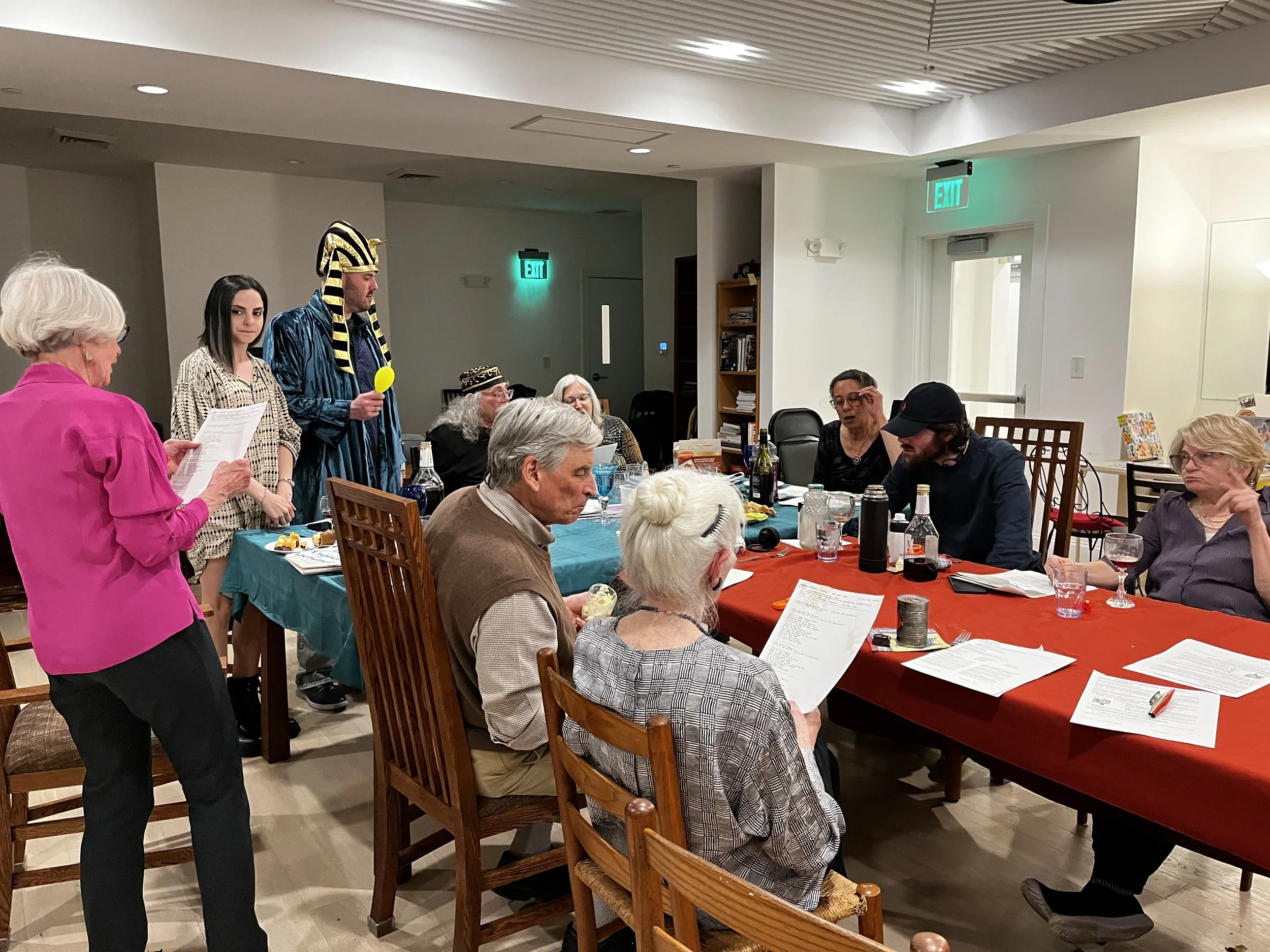 Seder dinner