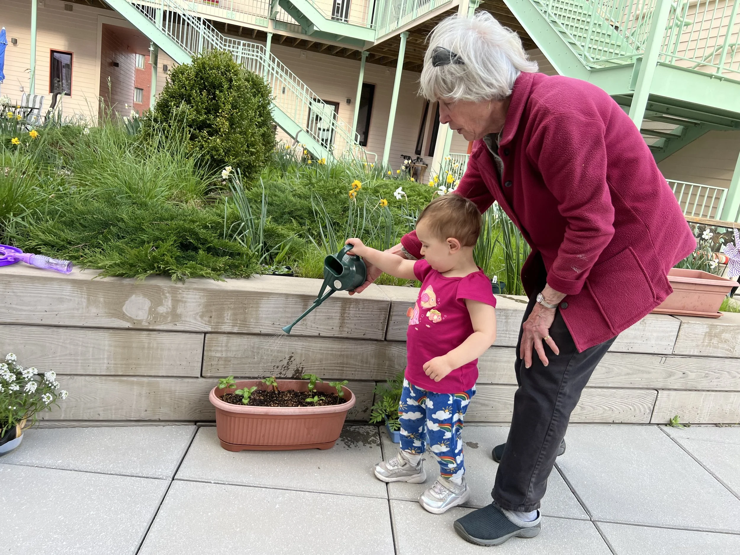 Neighbors watering plants