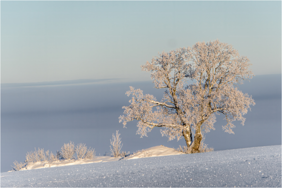 61967f00-df2f-4e2e-a7d7-773437323965.png