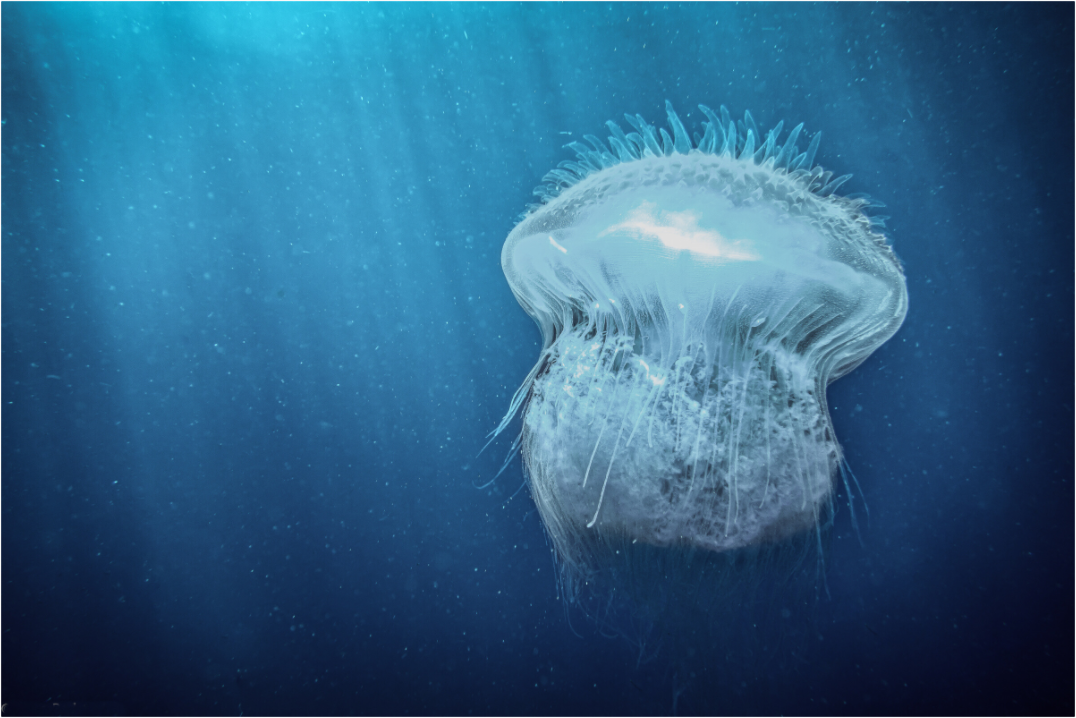 8c6d5857-a3b6-4ee5-a60d-dd9b9b8a126b.png