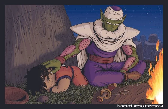 PICCOLO.jpg