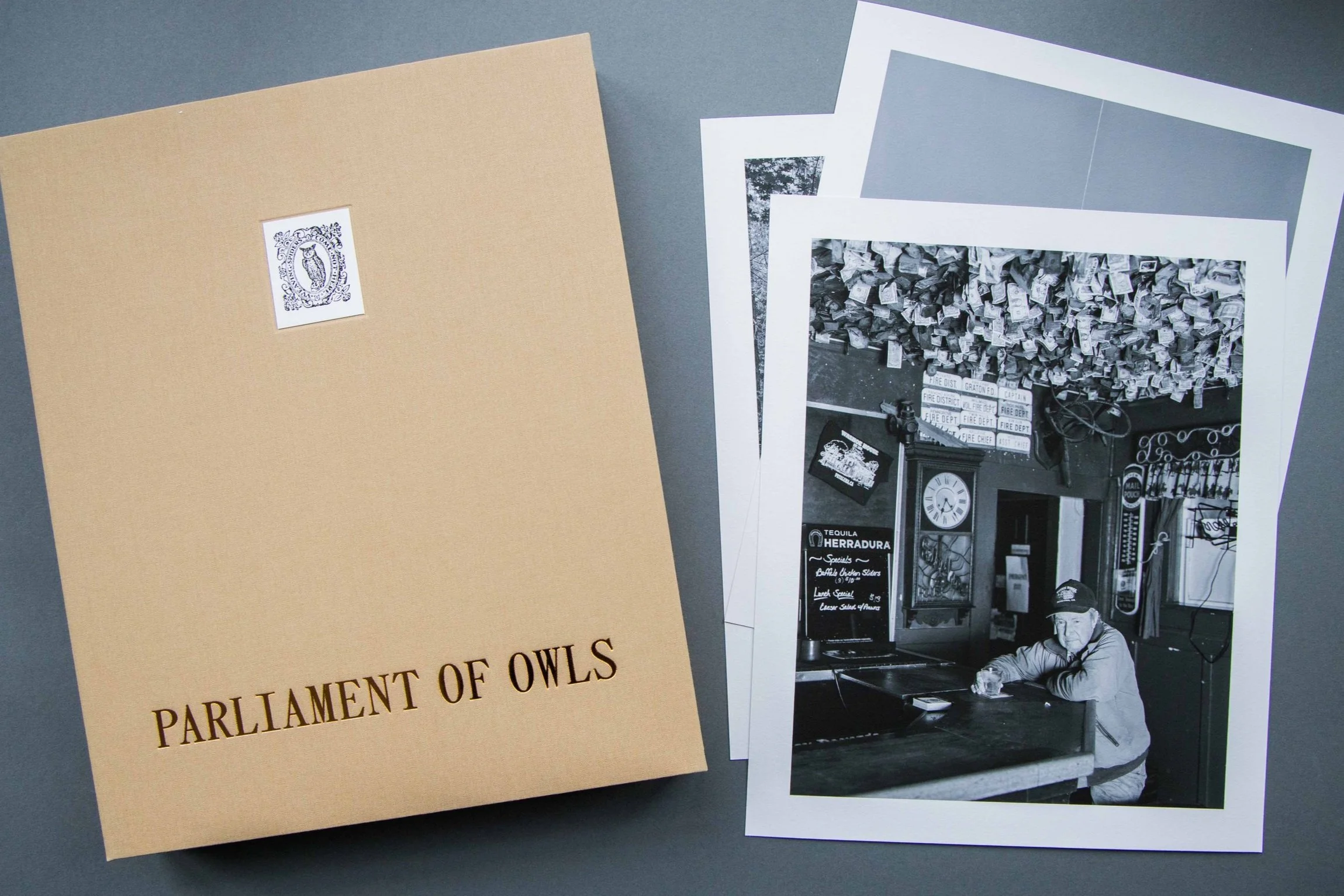 Jack_Latham_Portfolio_Box_parliament_of_Owls