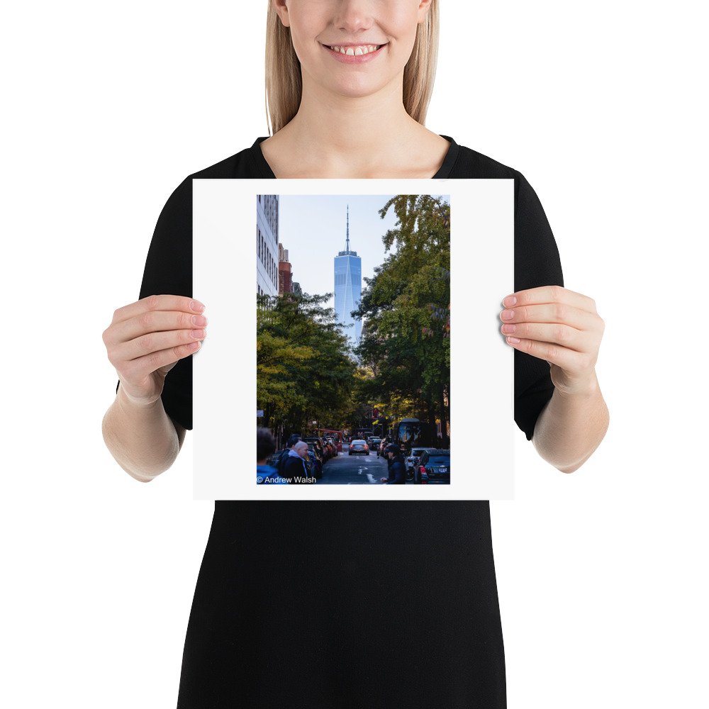 premium-luster-photo-paper-poster-(in)-12x12-person-6674987ab4bcc.jpg