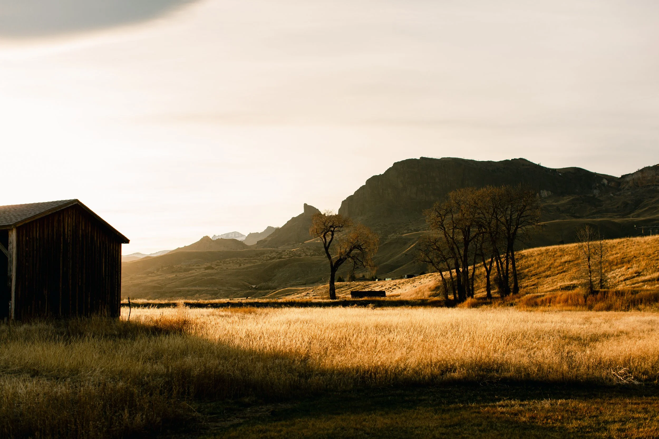 private yellowstone tours