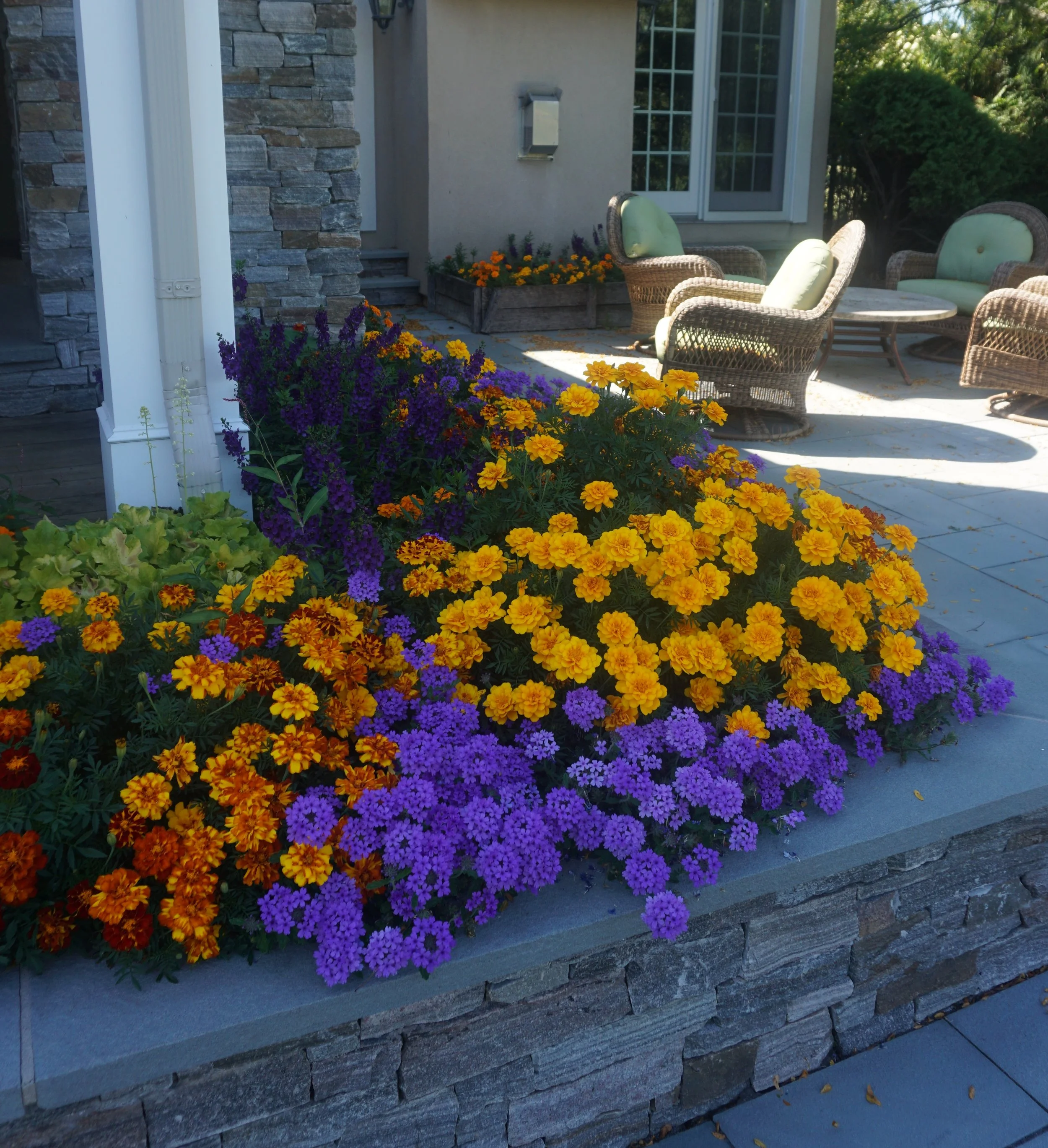 Colorful flower bed with purple, yellow, and orange flowers outside a house with outdoor seating area.