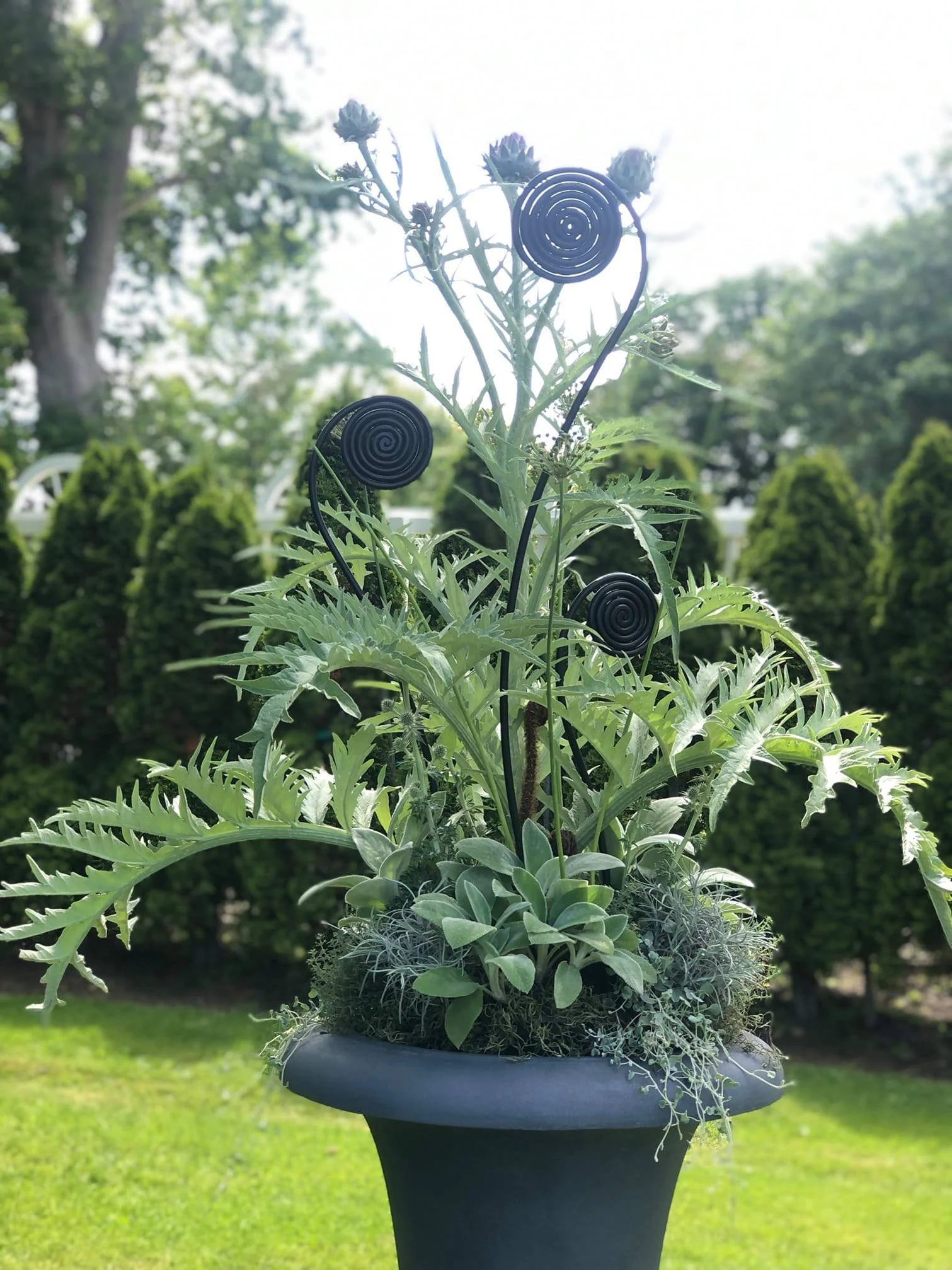 A potted plant with various green leaves and decorative black swirl ornaments in a garden setting.