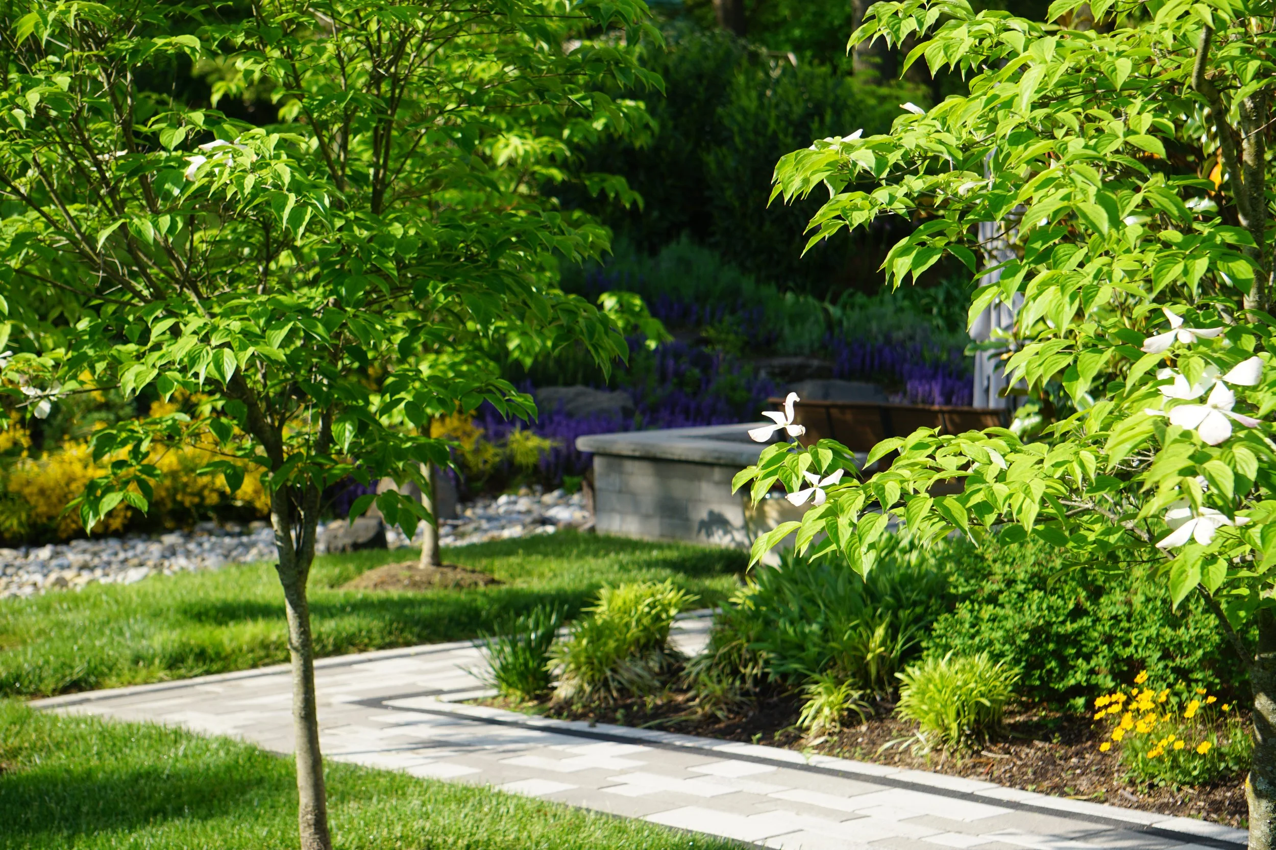 A peaceful garden with green trees, a paved pathway, yellow flowers, and a stone bench under the shade of trees.