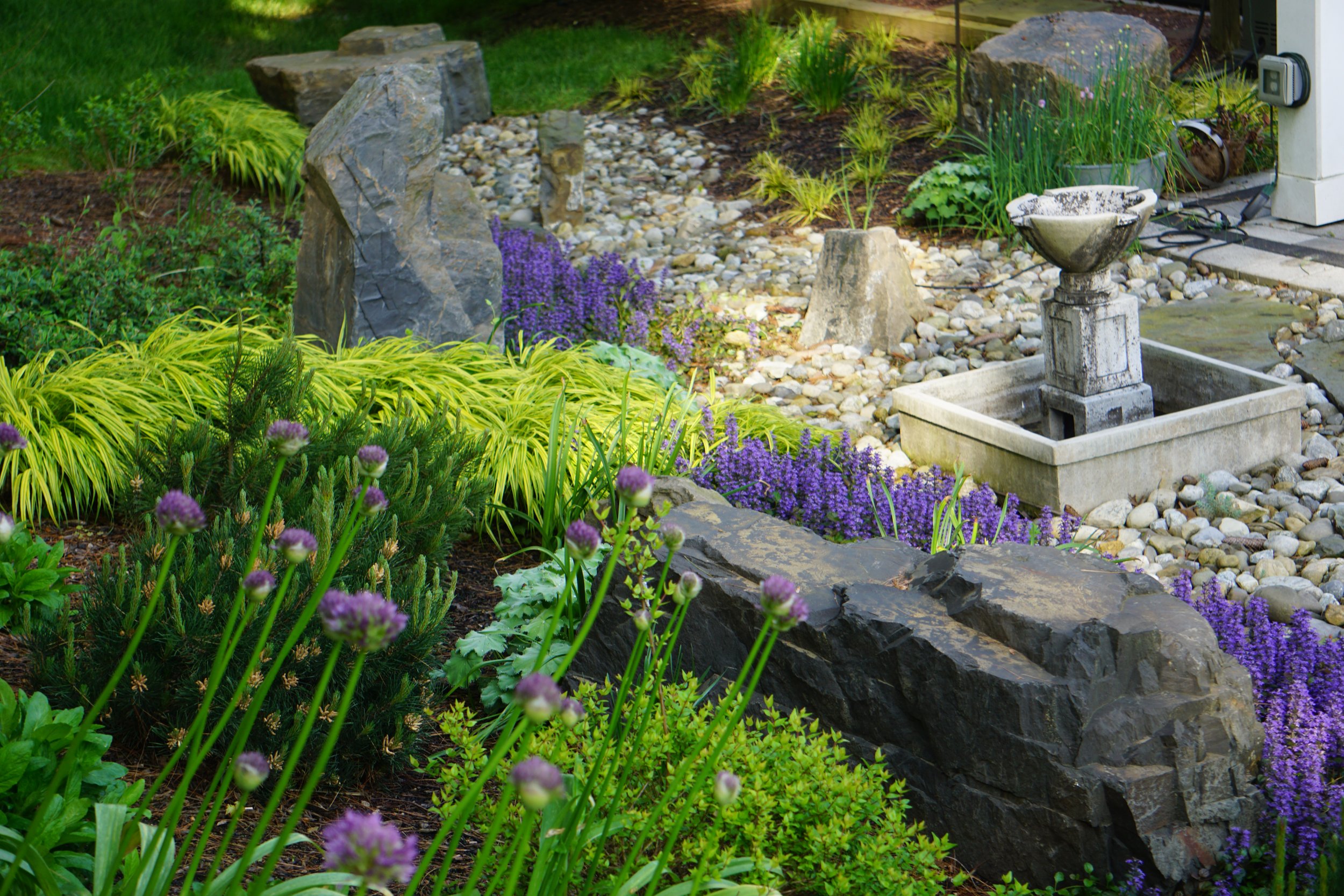 A landscaped garden with various plants, purple flowers, large rocks, a stone fountain, and a gravel bed.