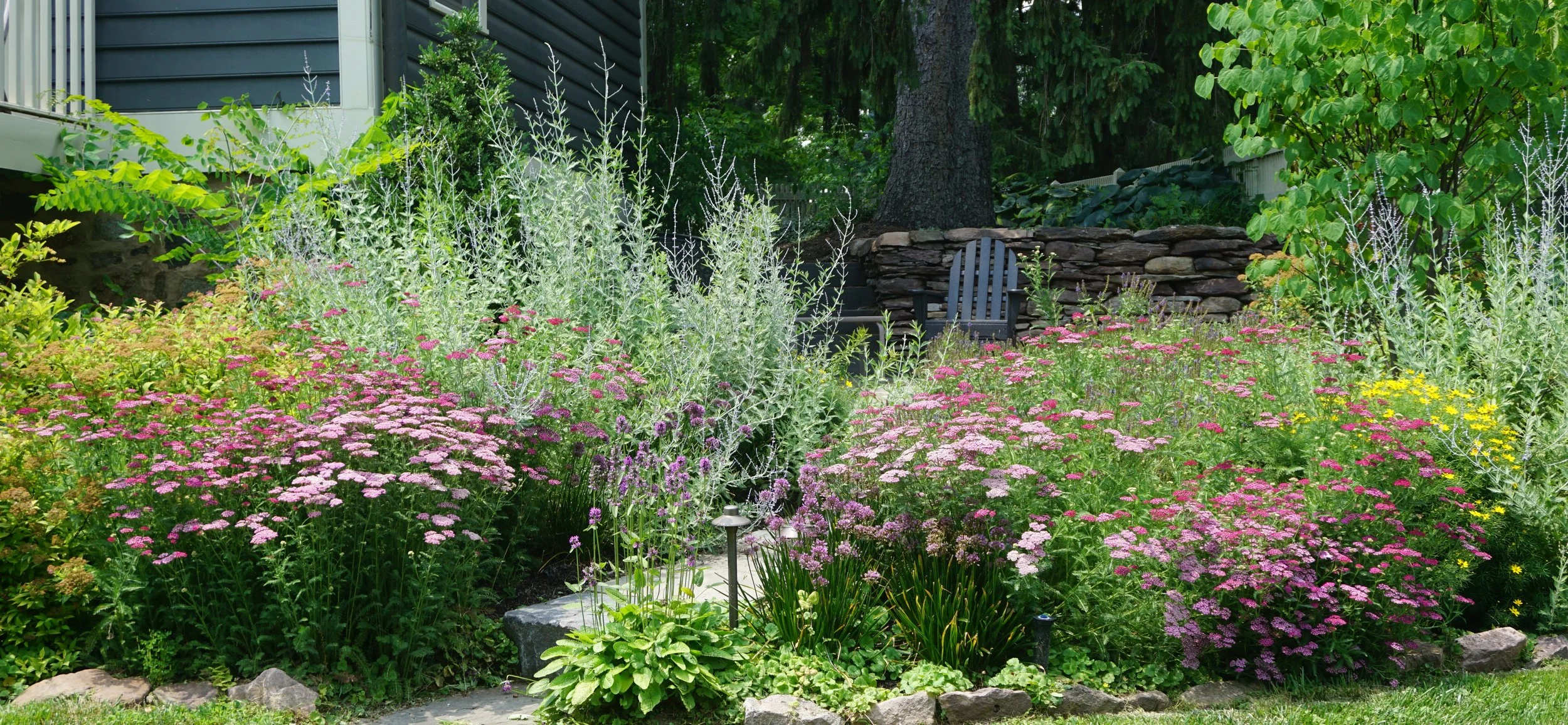 A lush garden with various pink, purple, yellow, and white flowering plants, green shrubs, and tall silver-colored plants, with a stone pathway, a small outdoor light, a rock wall, a tree, and a seating area with two chairs in the background.