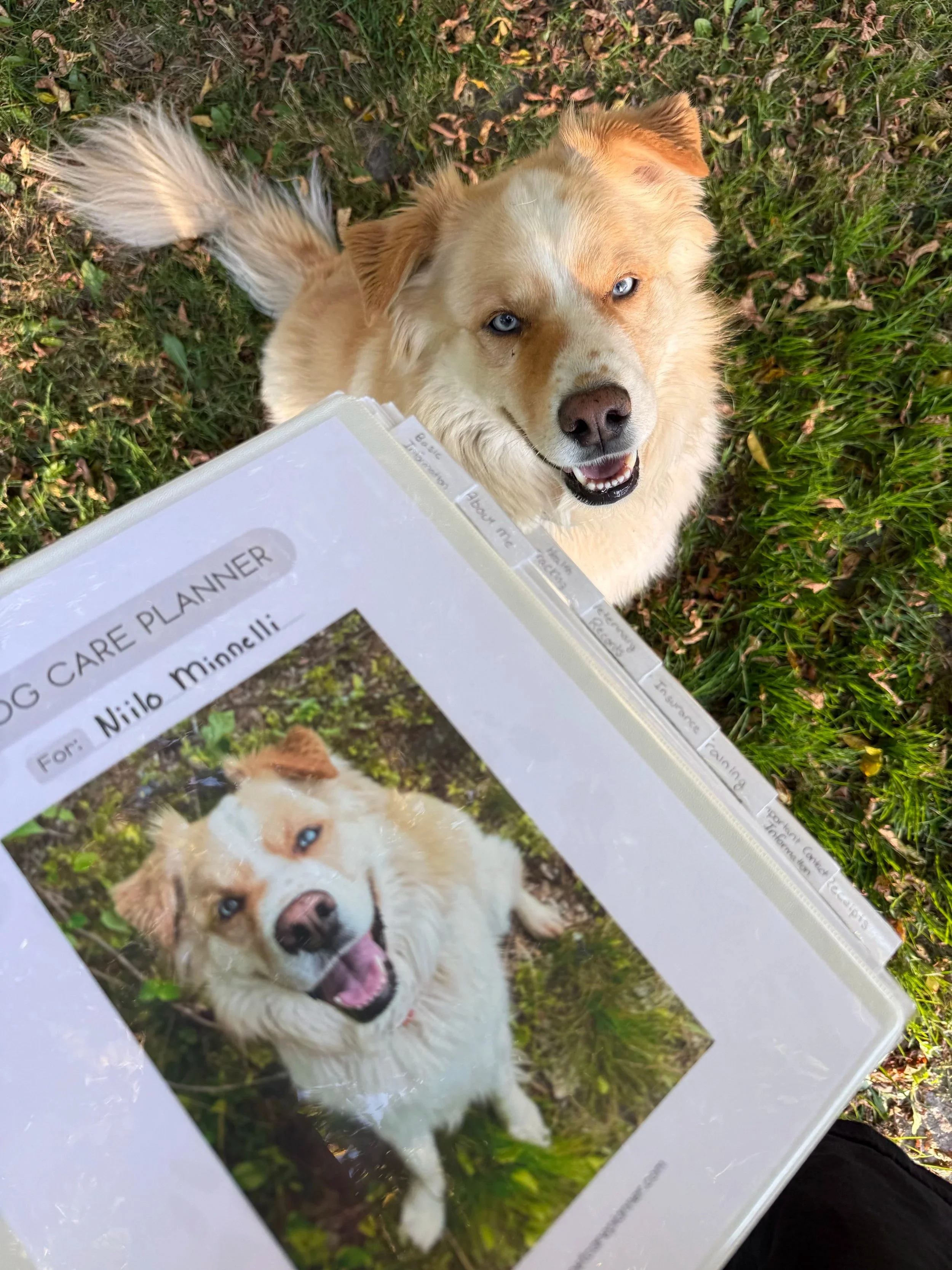 Dog with Pet Care Planner