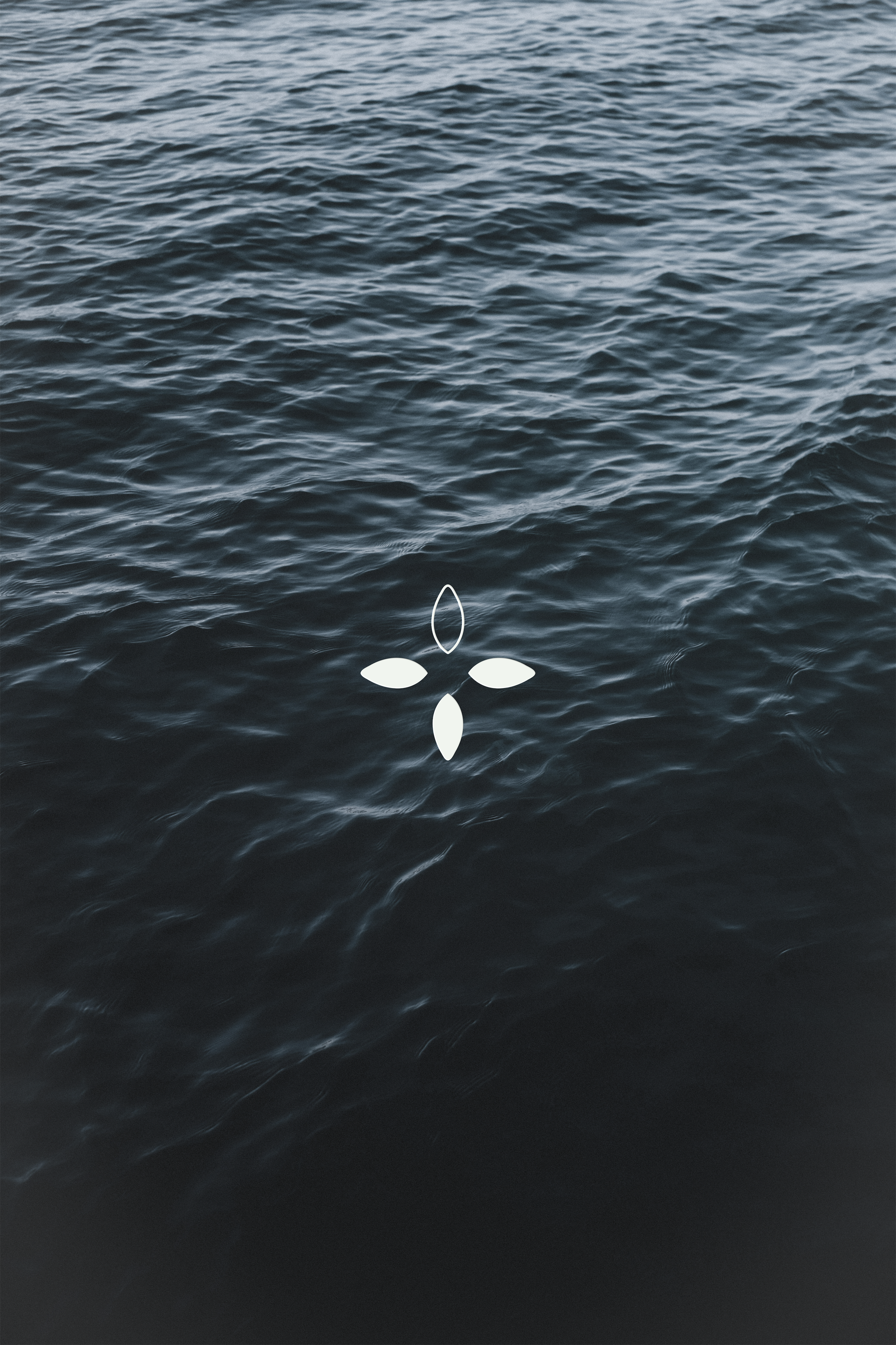 valeriia-miller-2YksHraqbyQ-unsplash.png