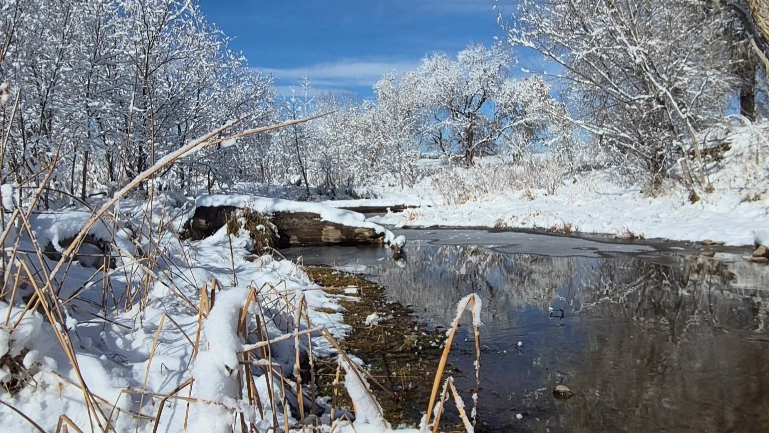 Berthoud River at Overland Crossing in winter