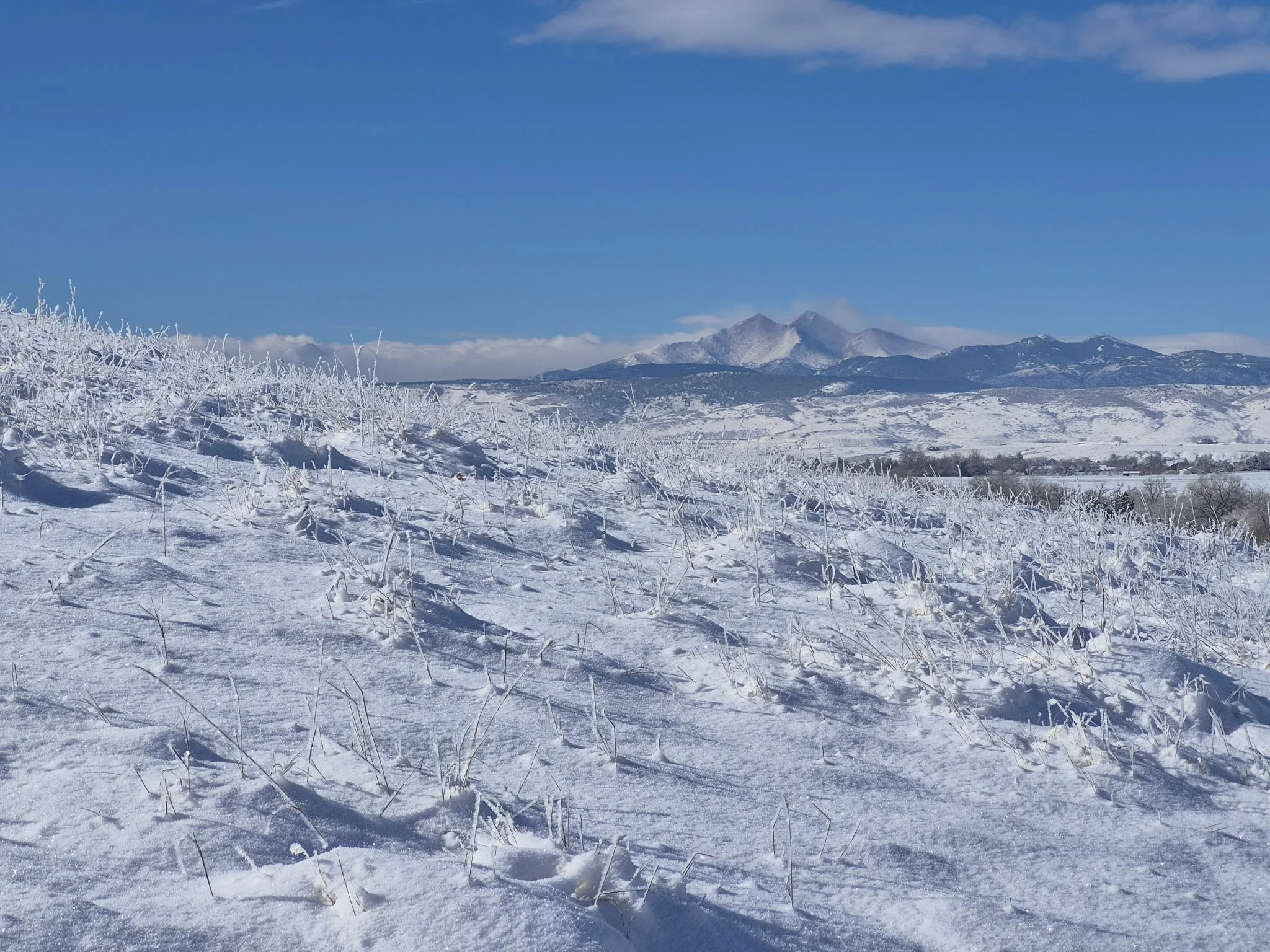 Berthoud River at Overland Crossing - view of Longs Peak