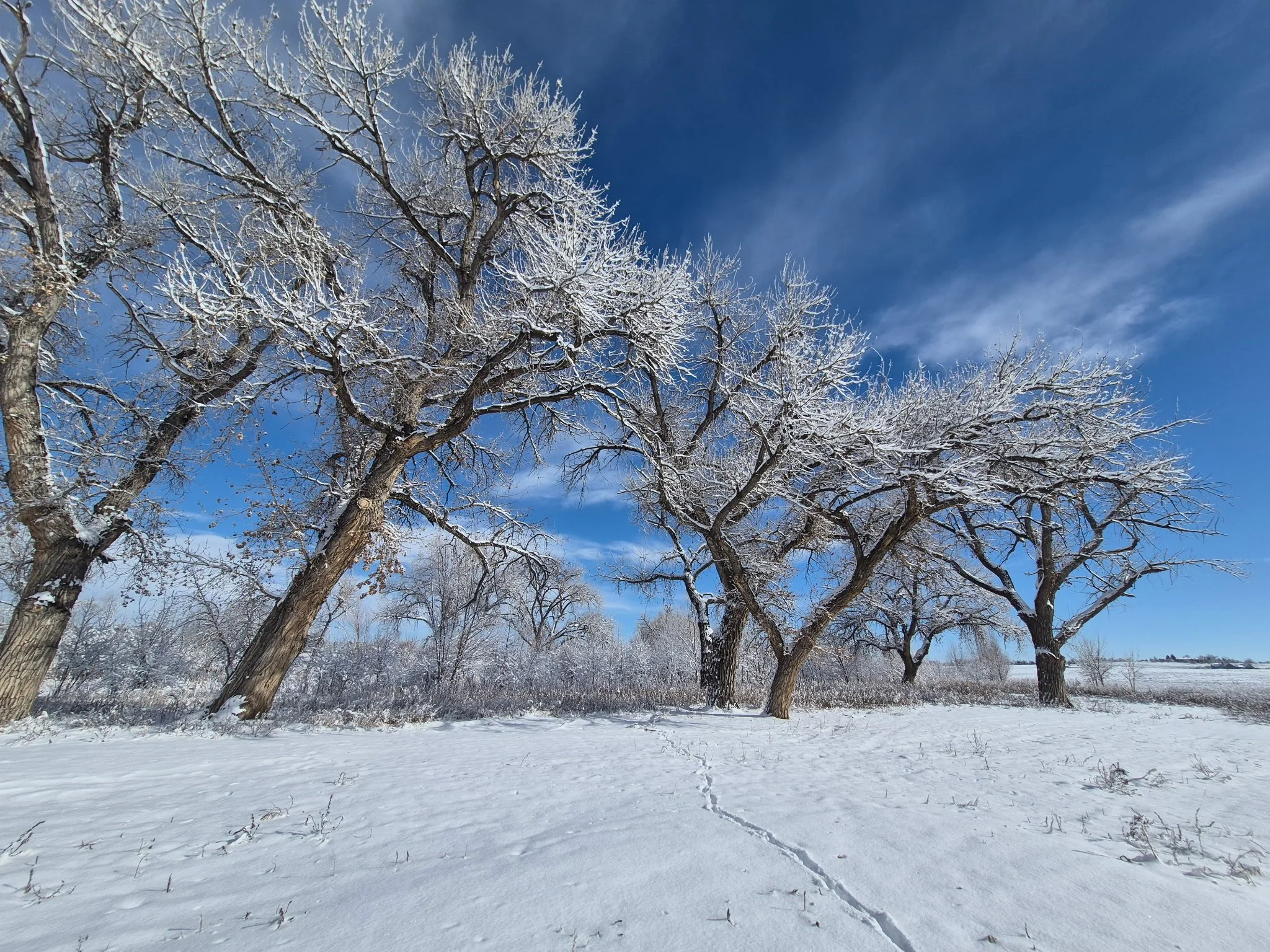 Berthoud River at Overland Crossing in Winter