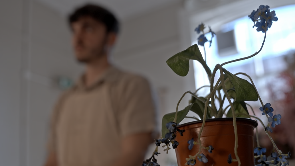 Forget-Me-Not