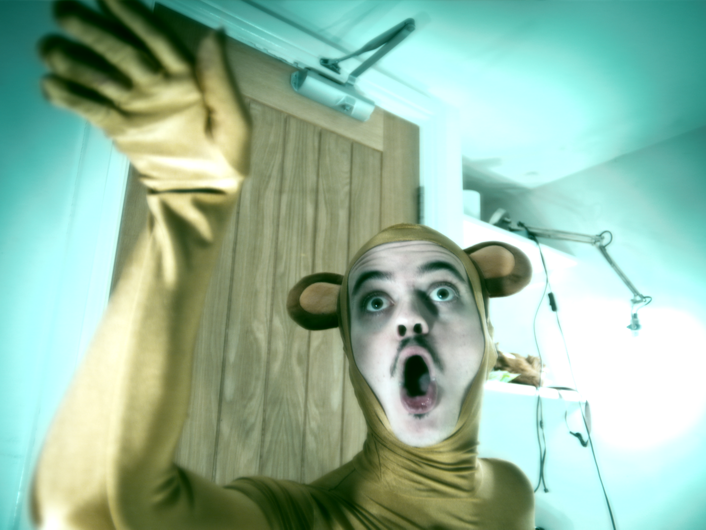 The Monkey onscreen