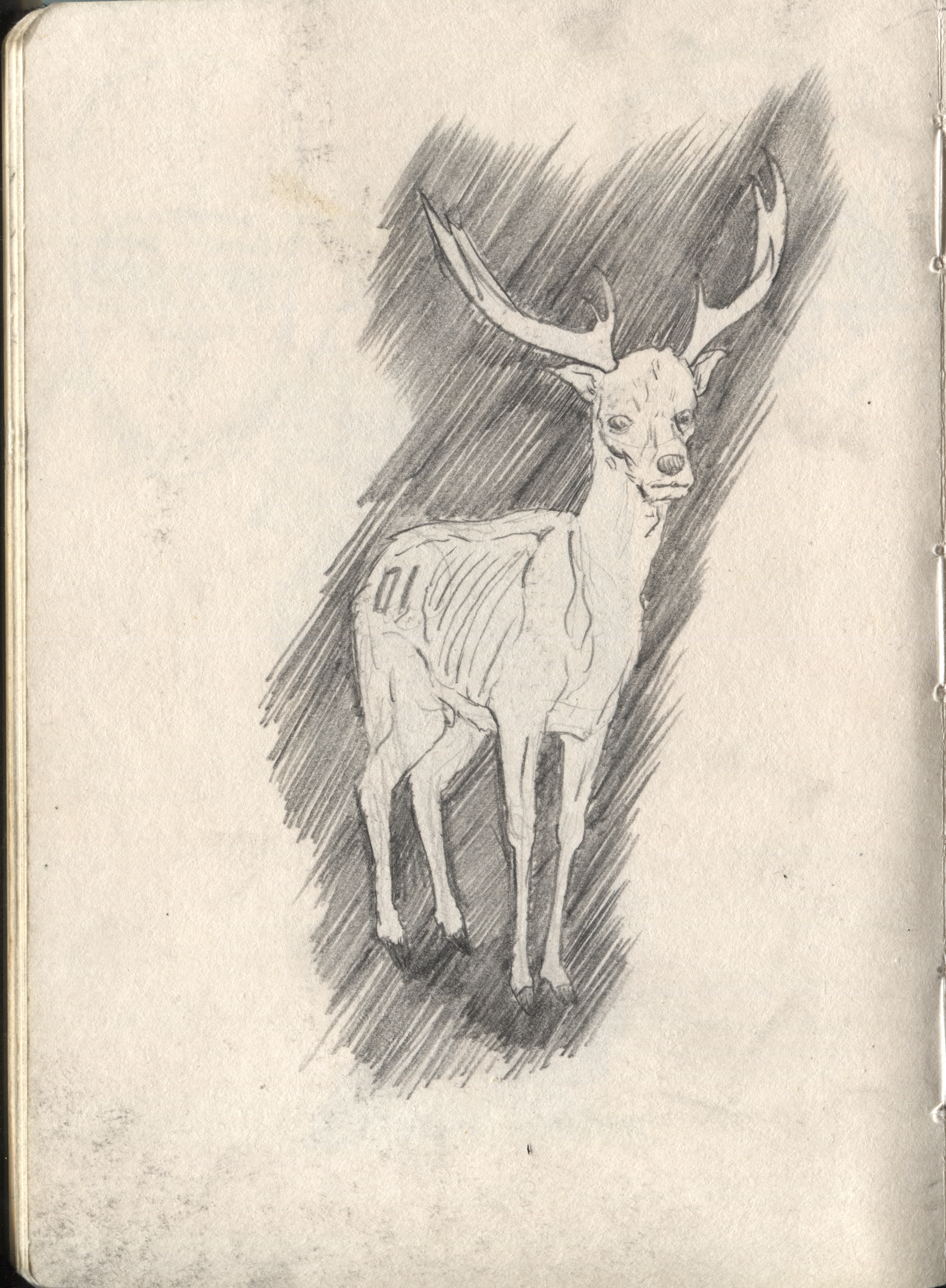 The Stag final sketch