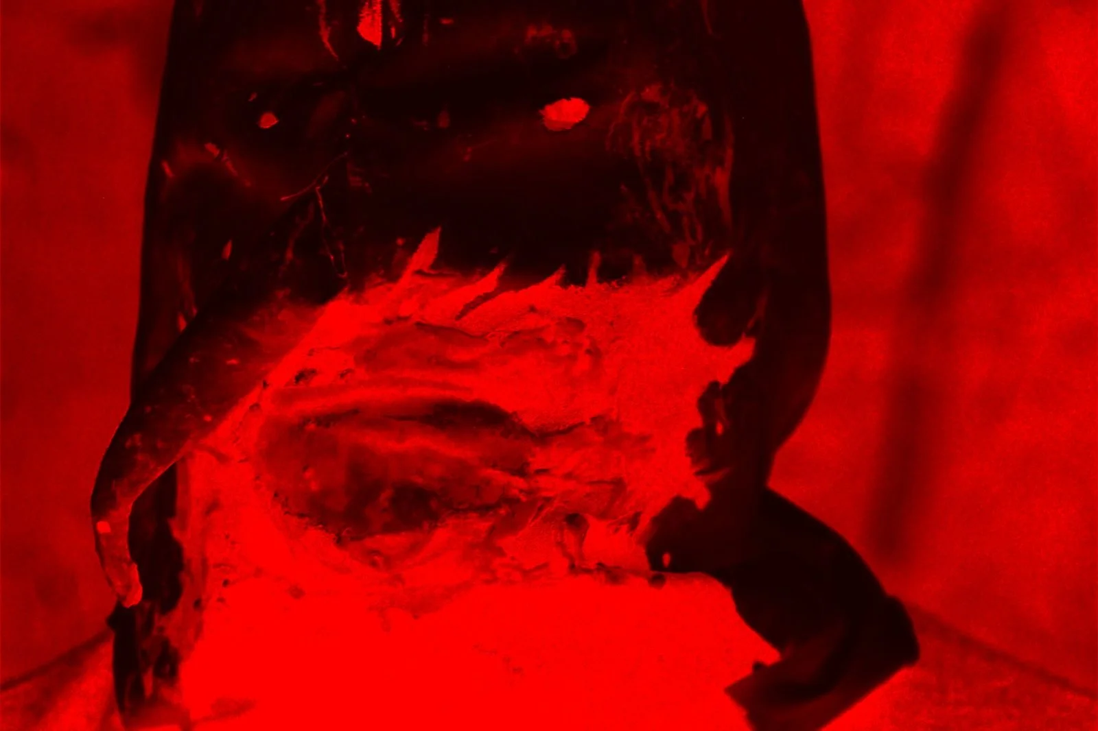 A Cannibal in infrared LUT