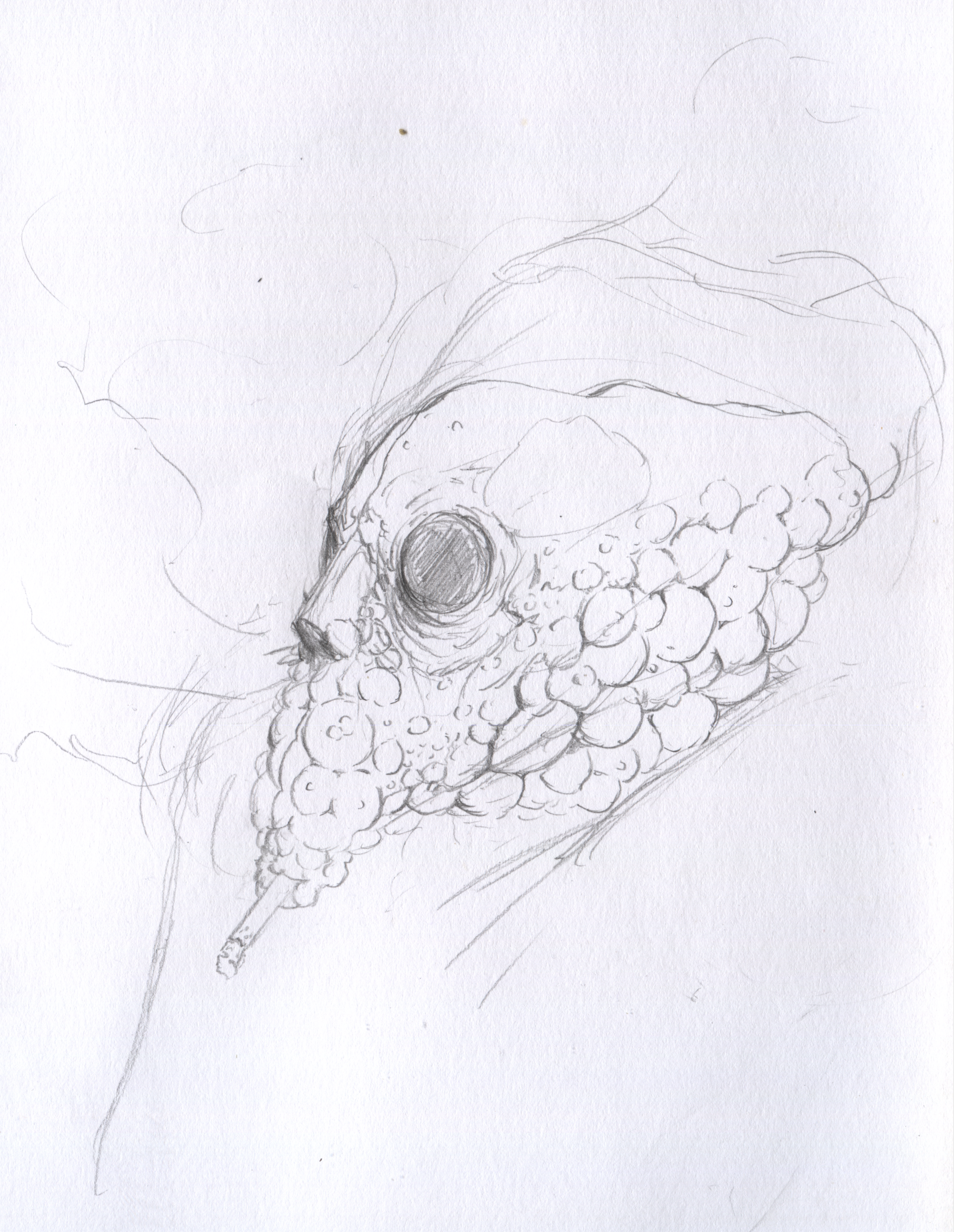 Sketch, 2024