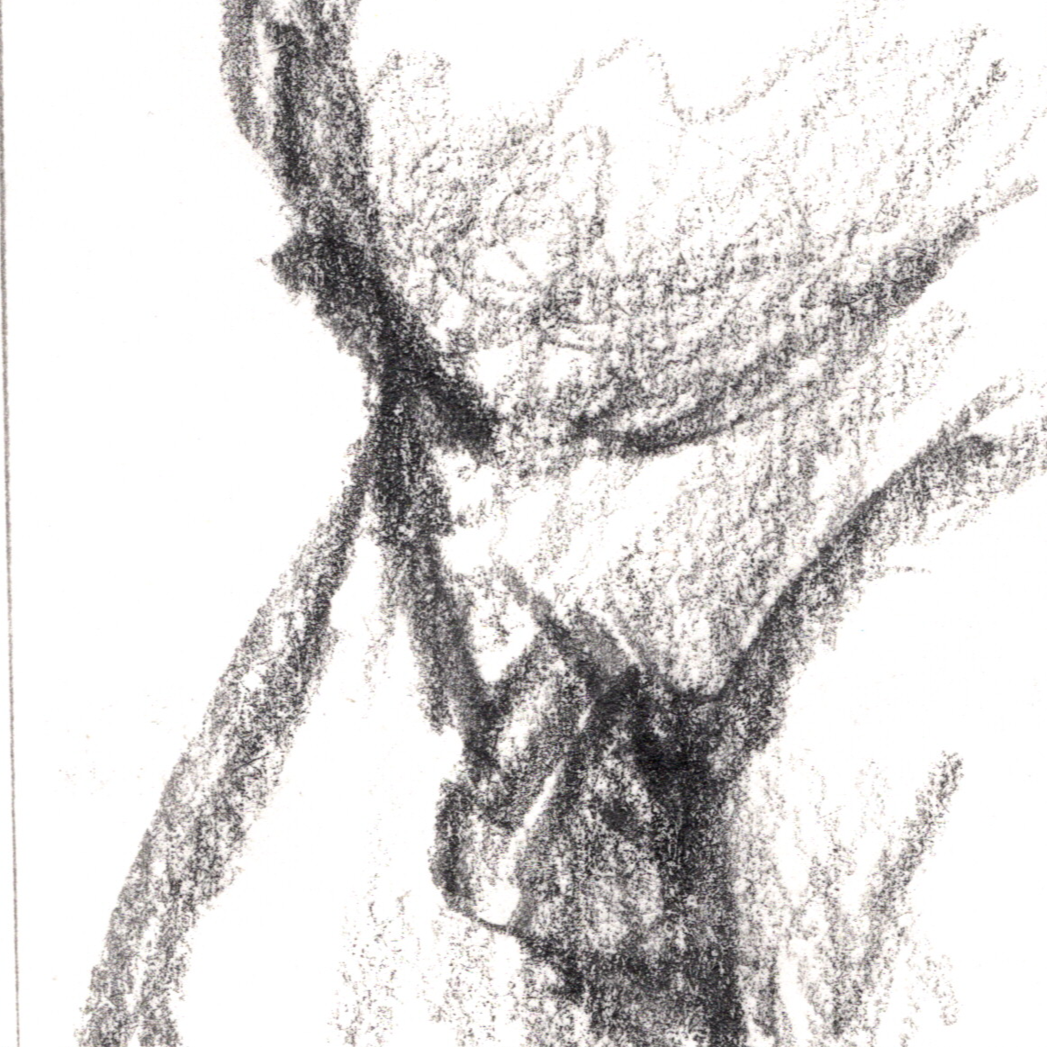 Life drawing, pencil on paper, 2023